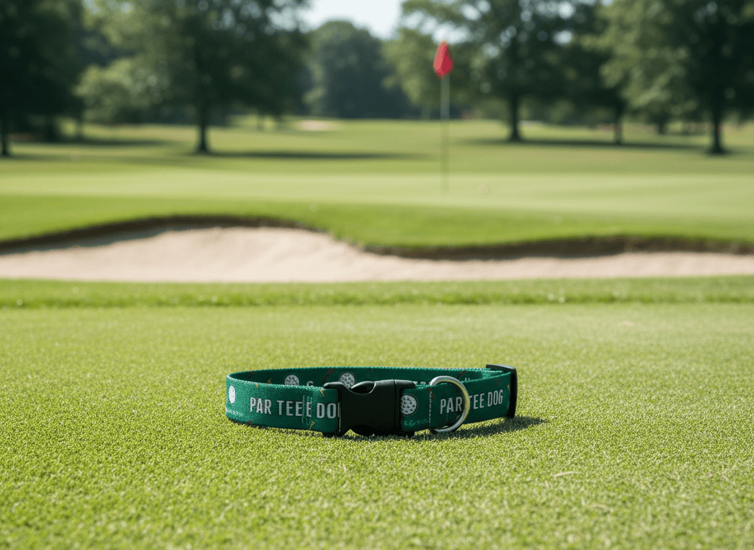 Par Tee Dog Golf Collar