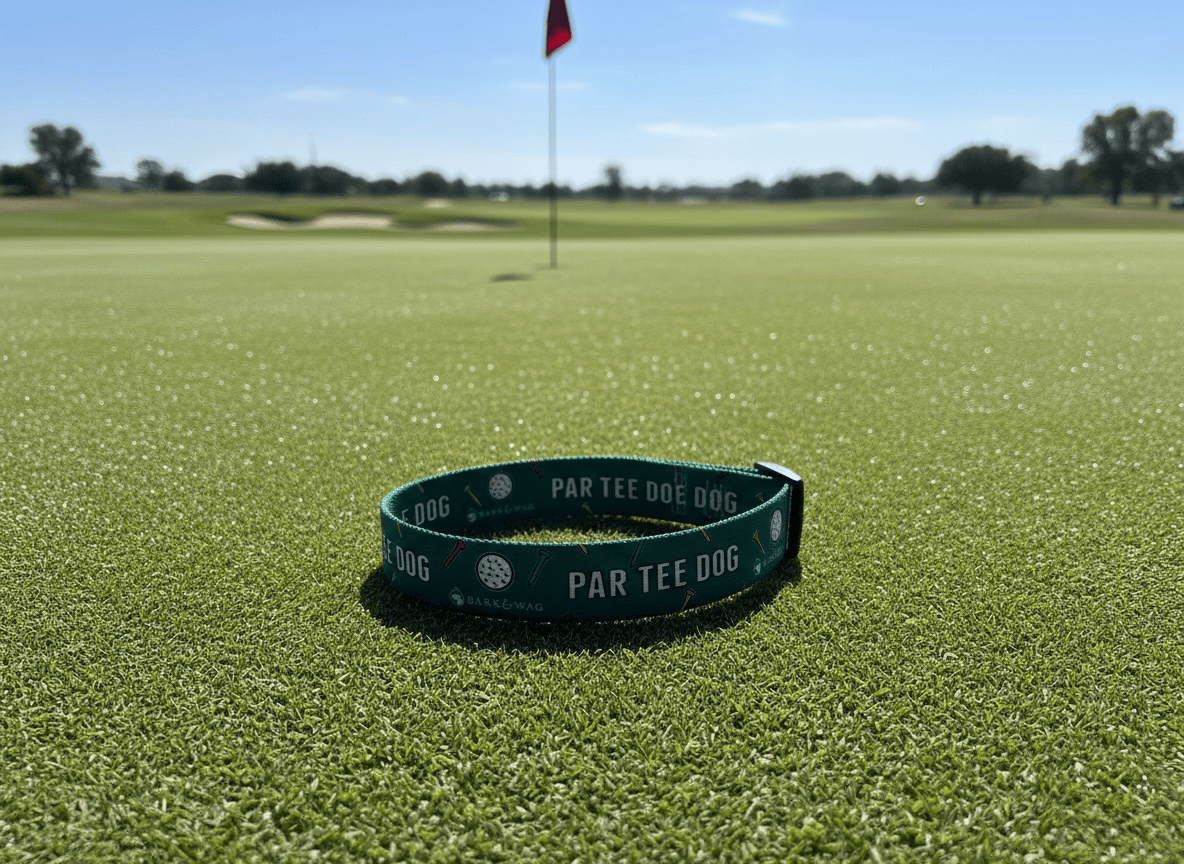 Par Tee Dog Golf Collar