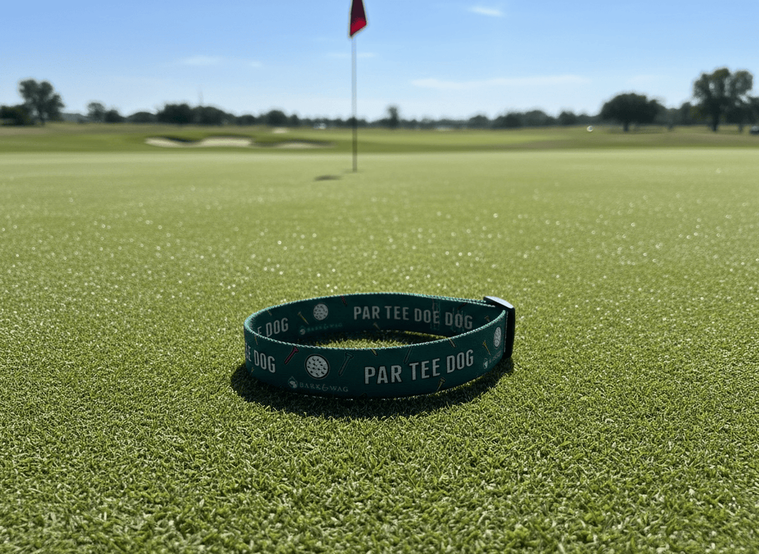 Par Tee Dog Golf Collar
