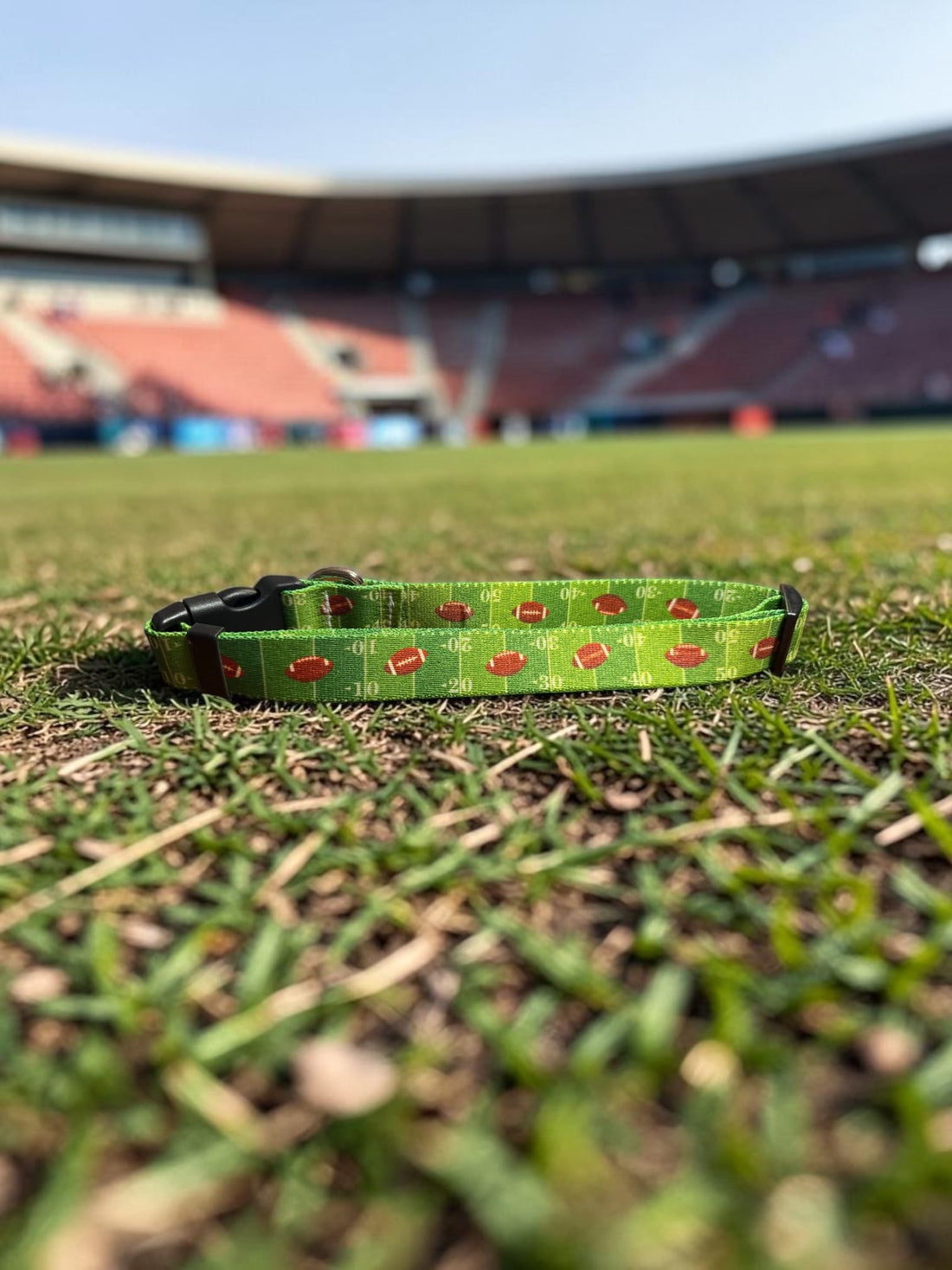 Touchdown Dog Football Collar