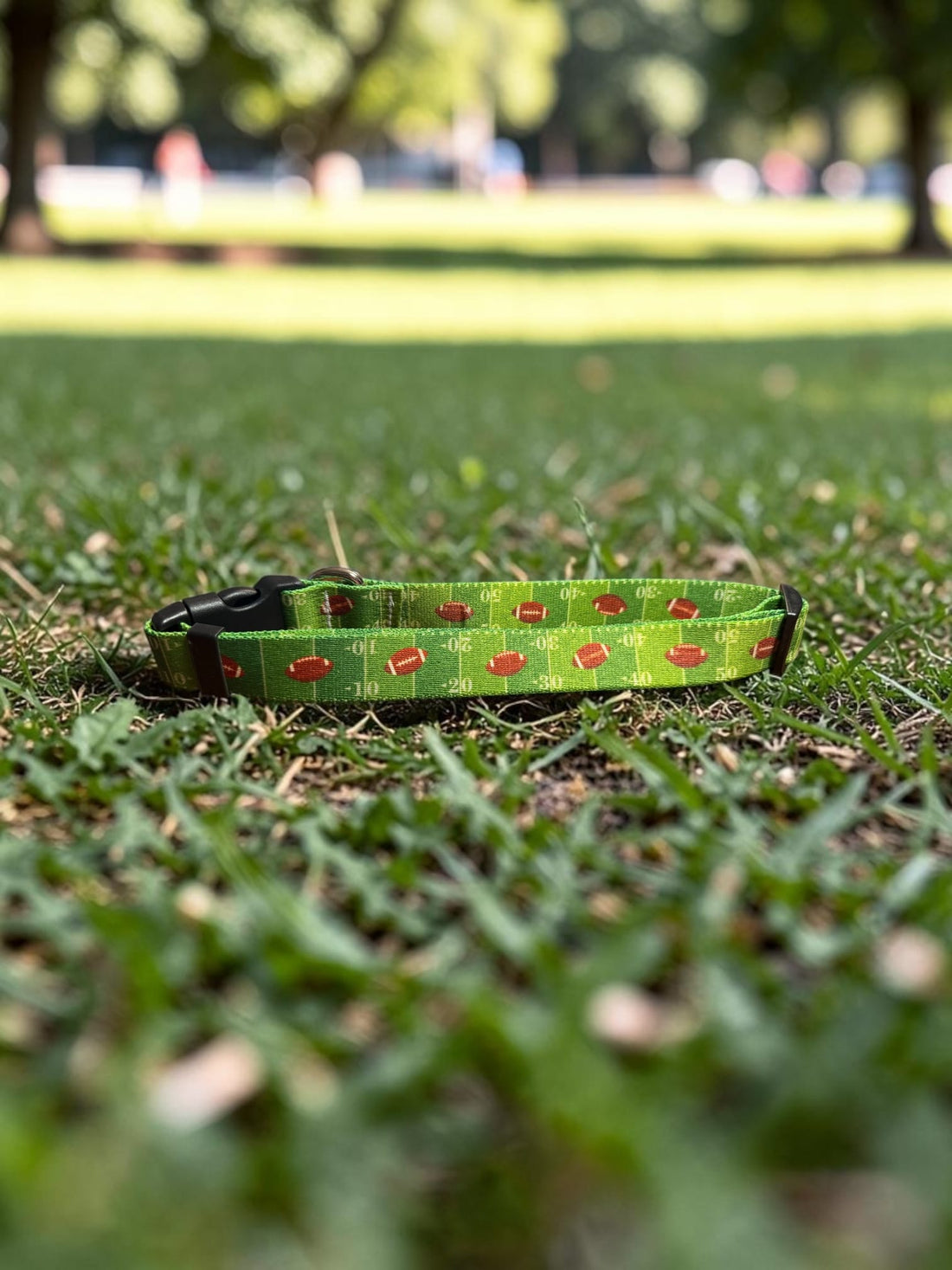 Touchdown Dog Football Collar