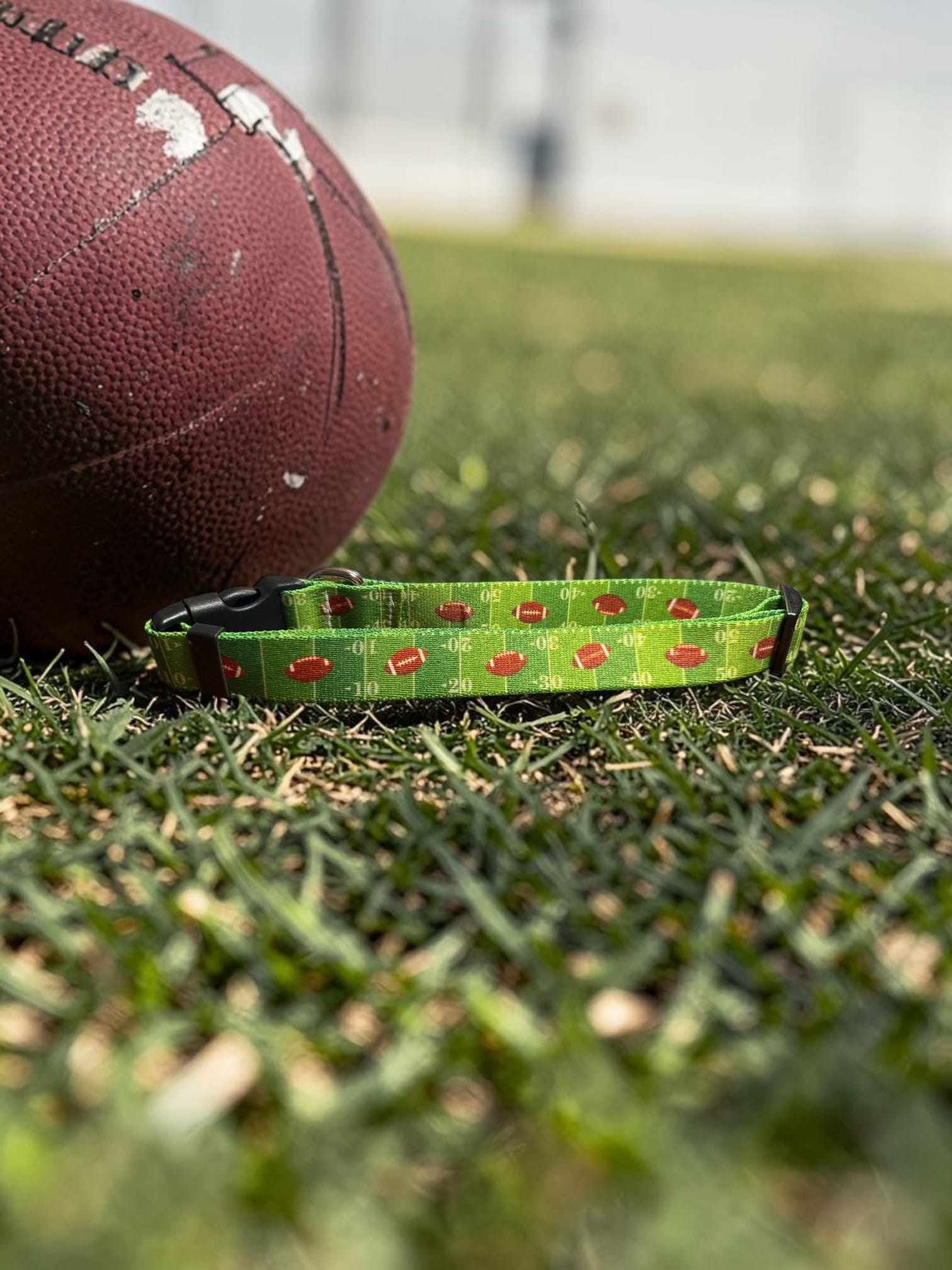 Touchdown Dog Football Collar