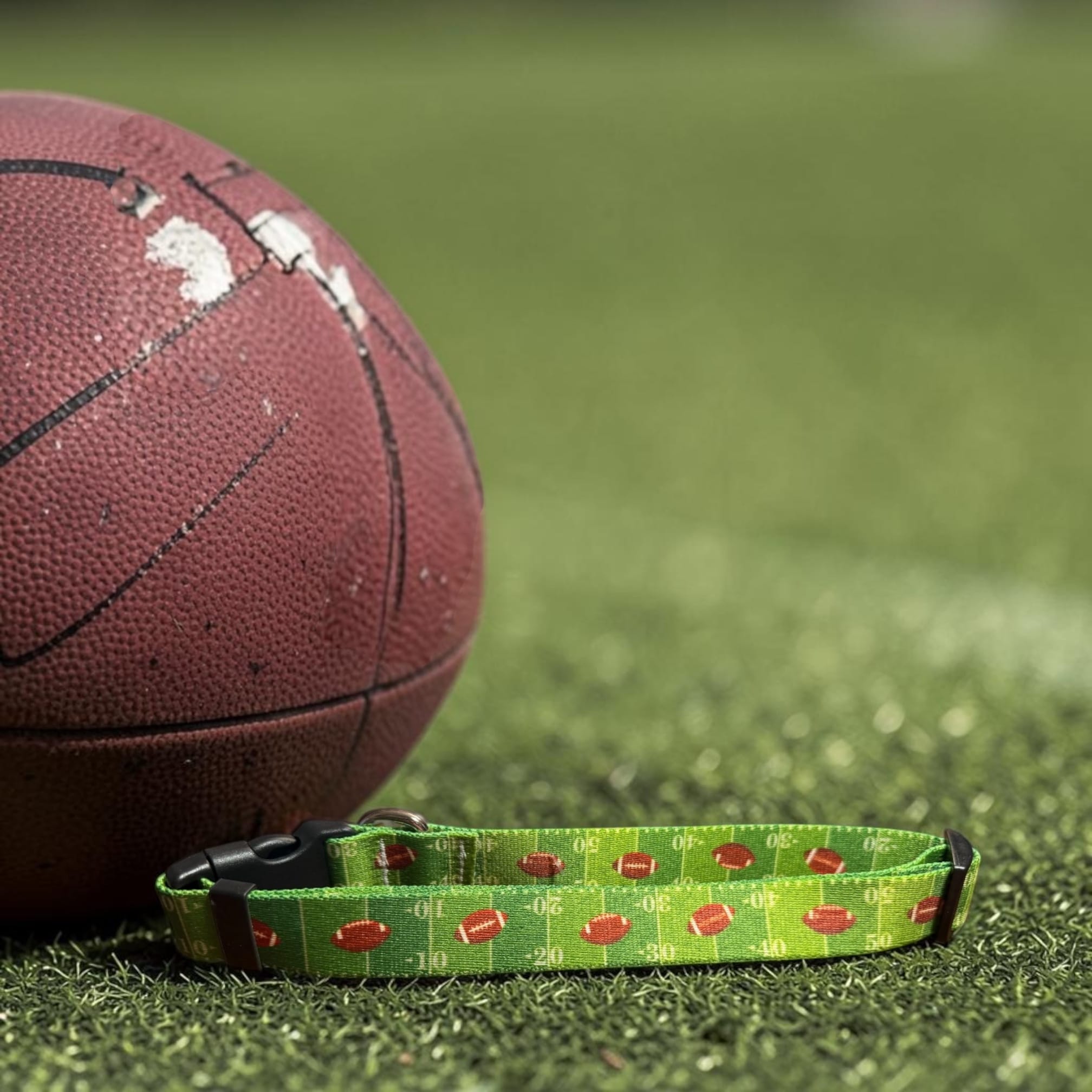 Touchdown Dog Football Collar