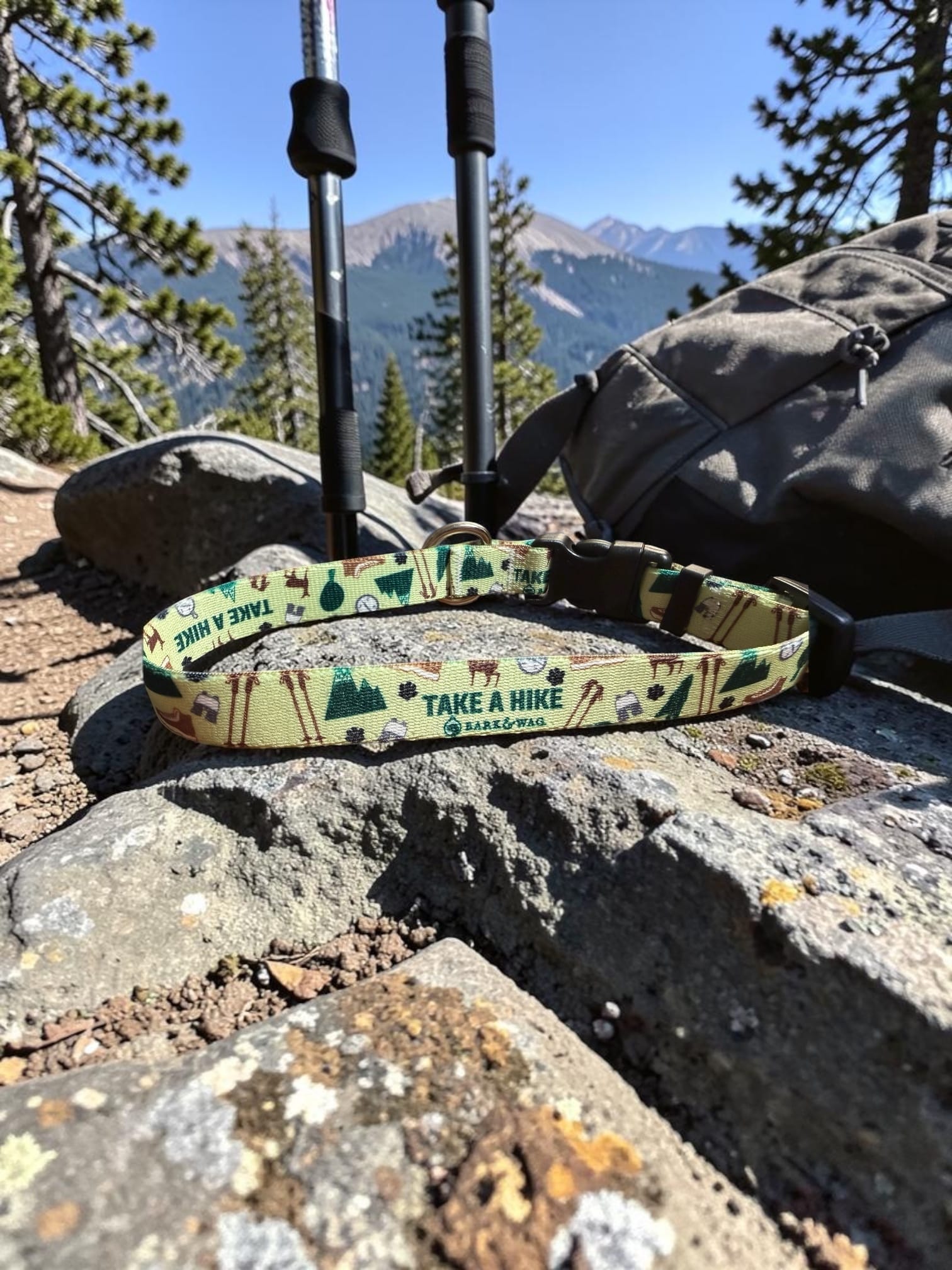 Take a Hike Dog Leash