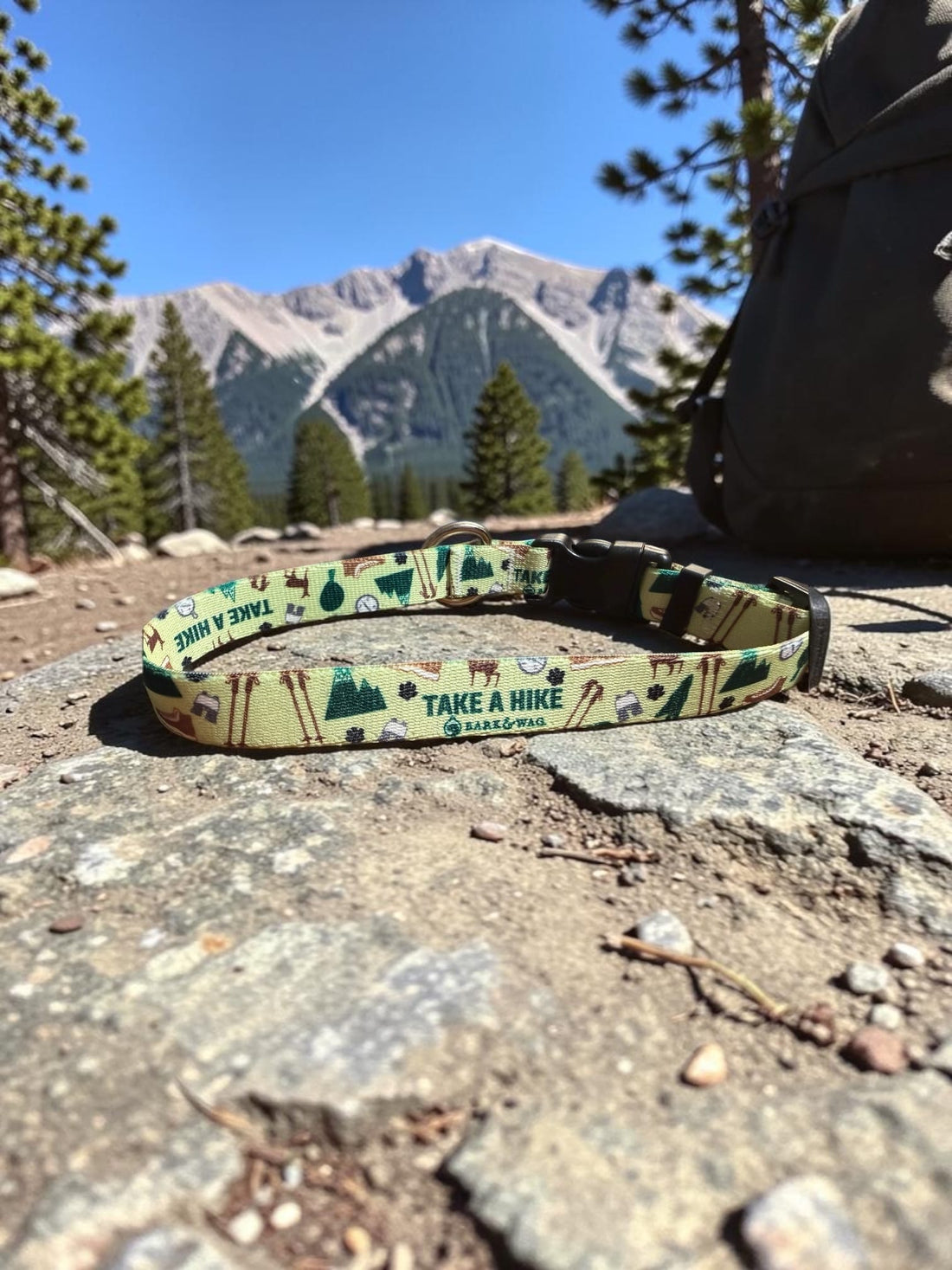 Take a Hike Dog Leash