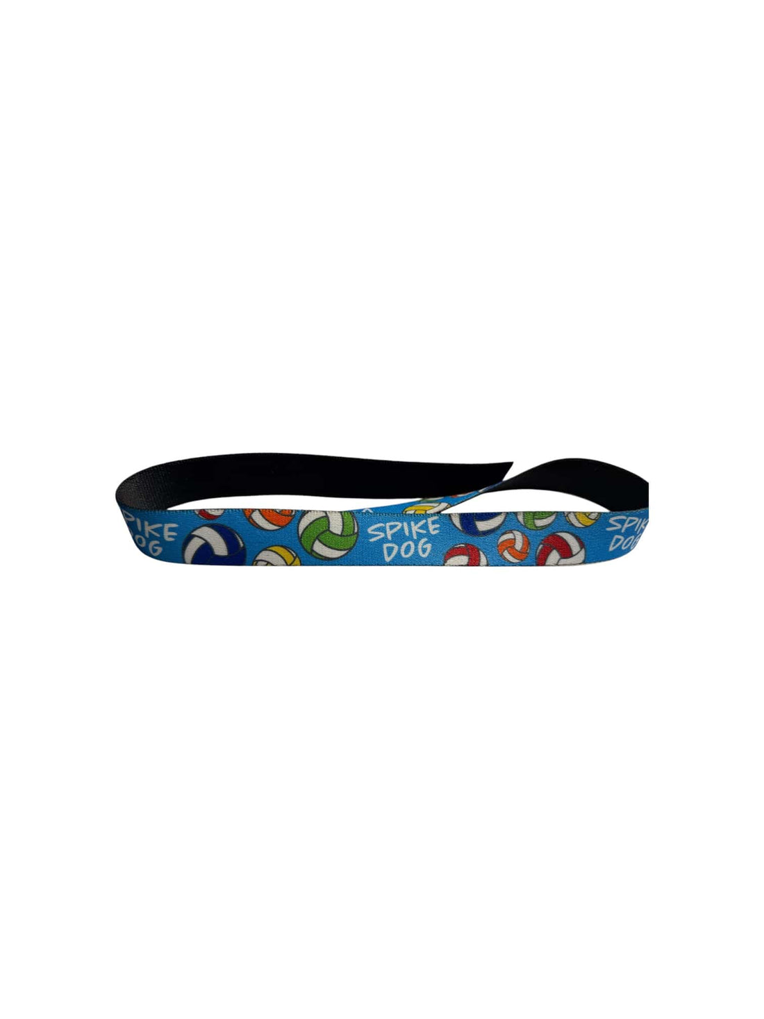 Spike Dog Volleyball Collar