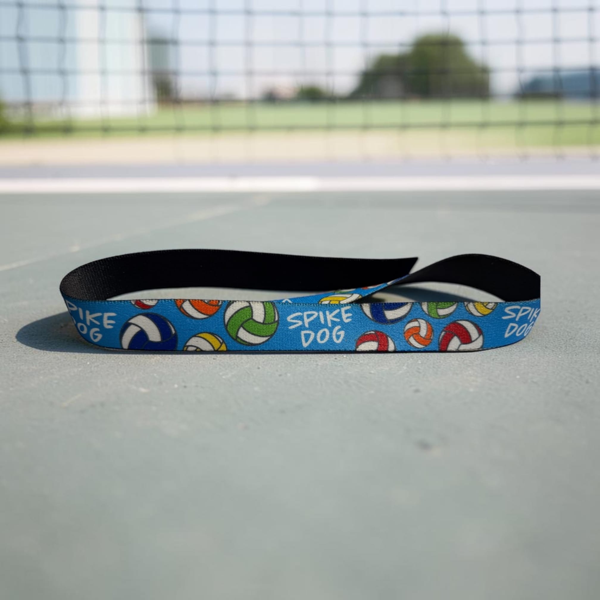 Spike Dog Volleyball Collar