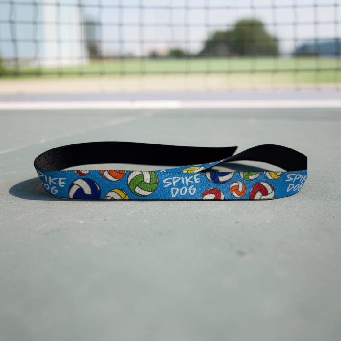 Spike Dog Volleyball Collar