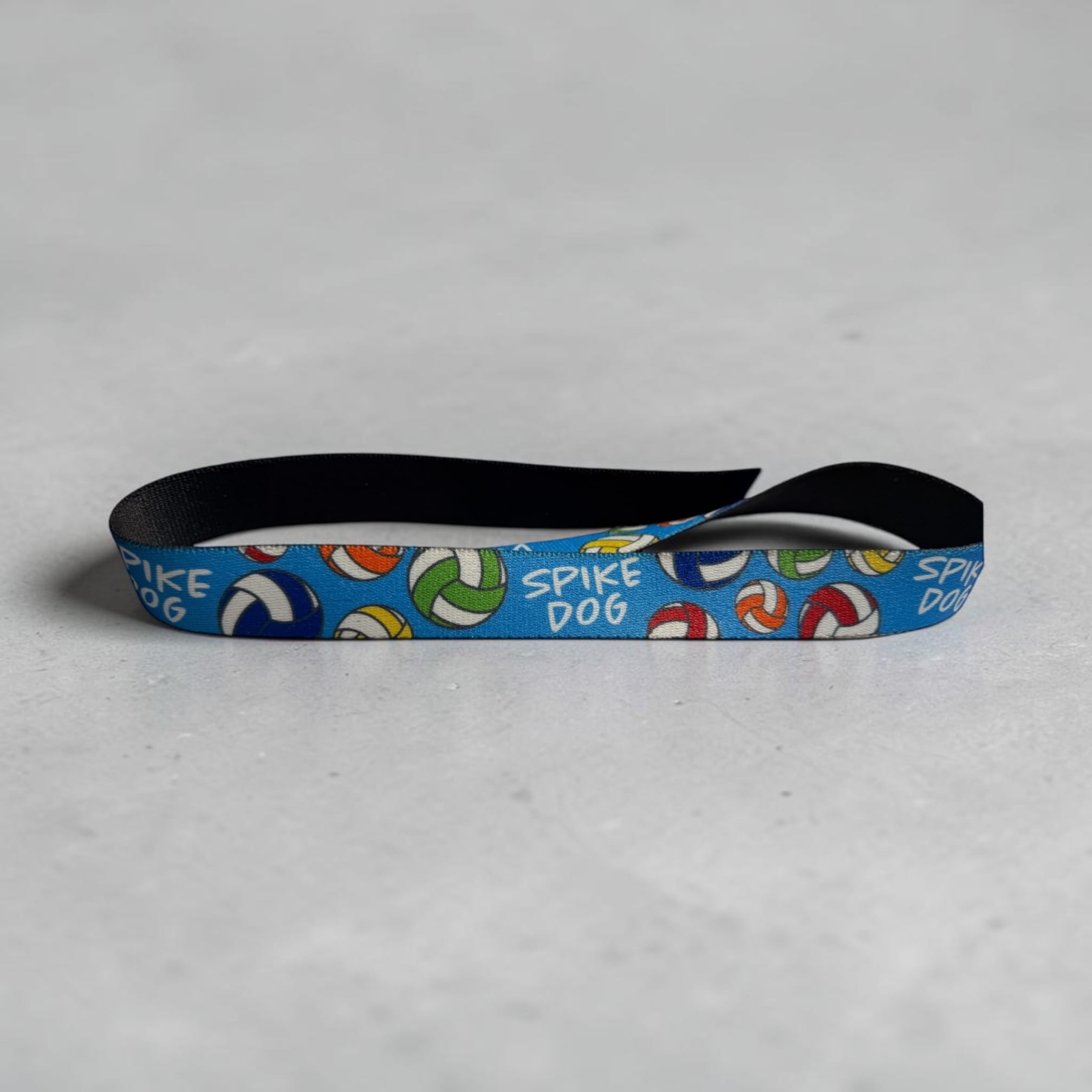 Spike Dog Volleyball Collar