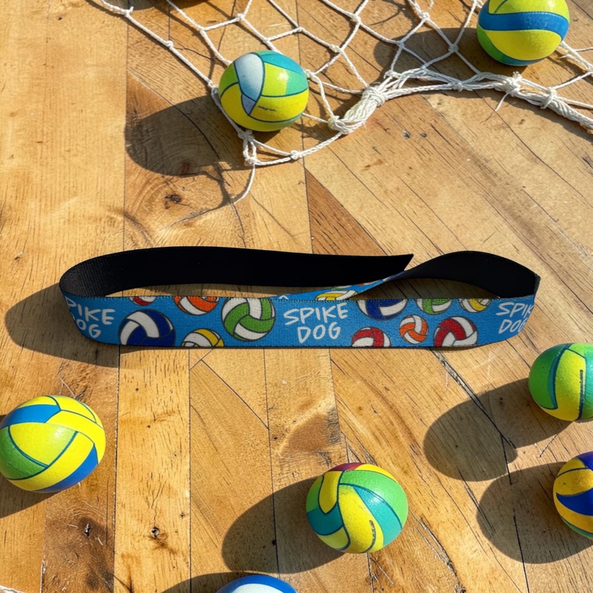 Spike Dog Volleyball Collar