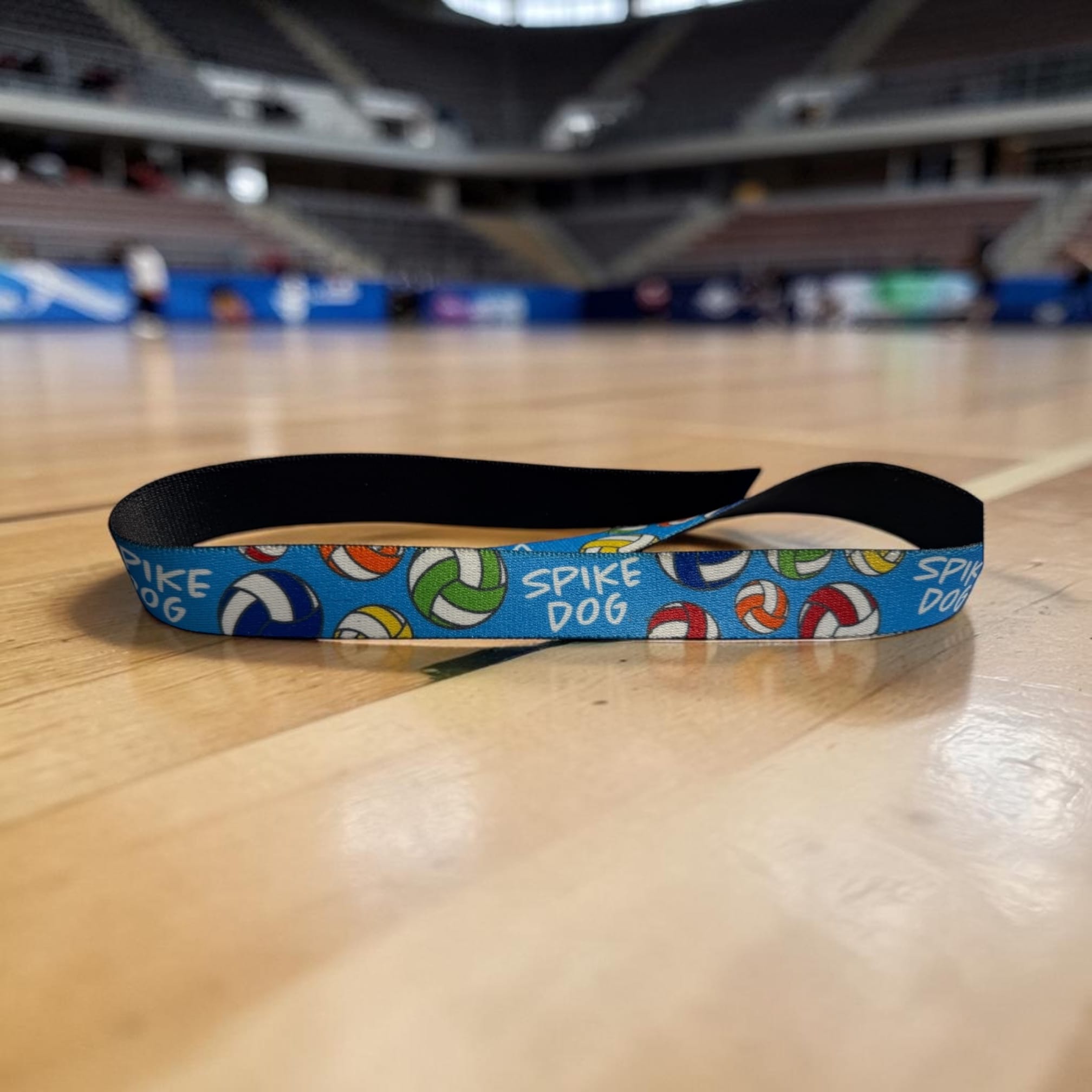 Spike Dog Volleyball Collar