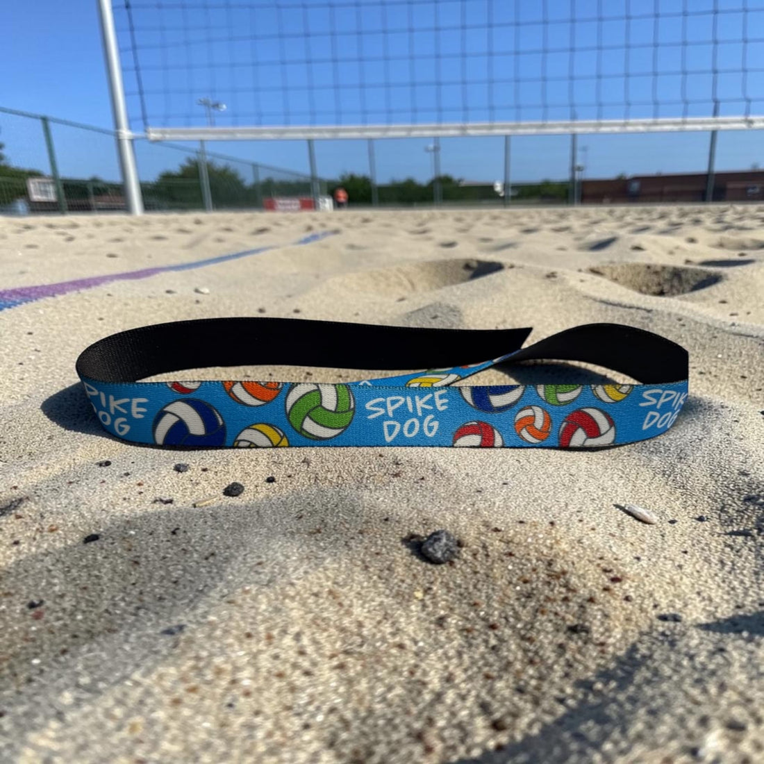 Spike Dog Volleyball Collar
