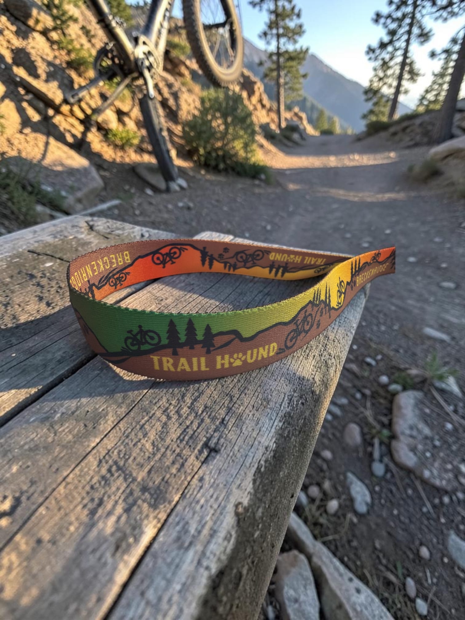 Trail Hound Collar