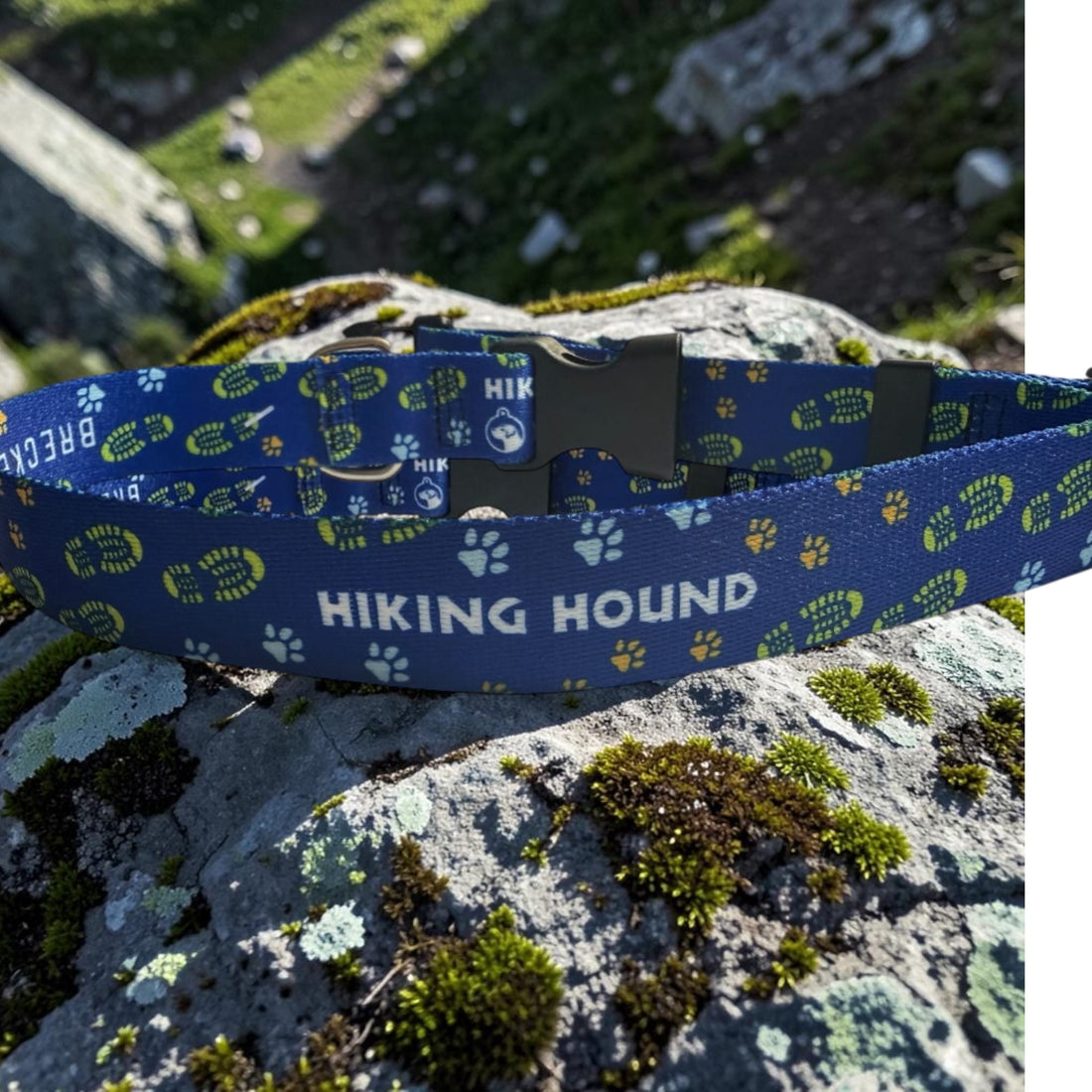 Hiking Hound Dog Collar