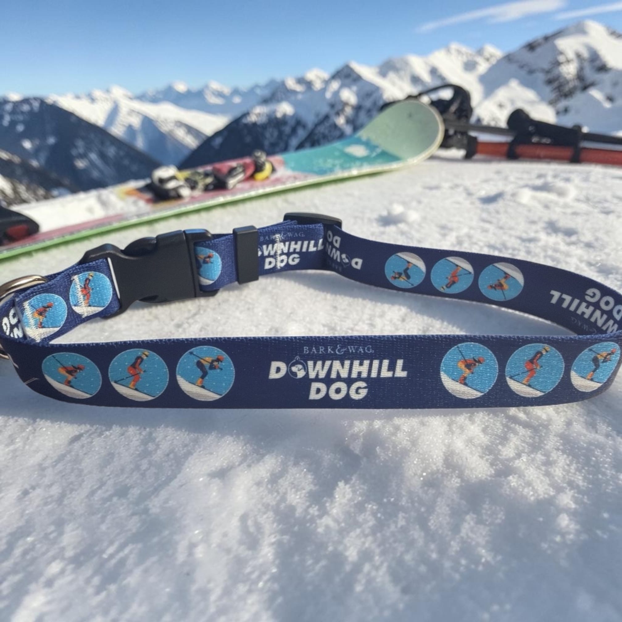 Skier Downhill Dog Collar