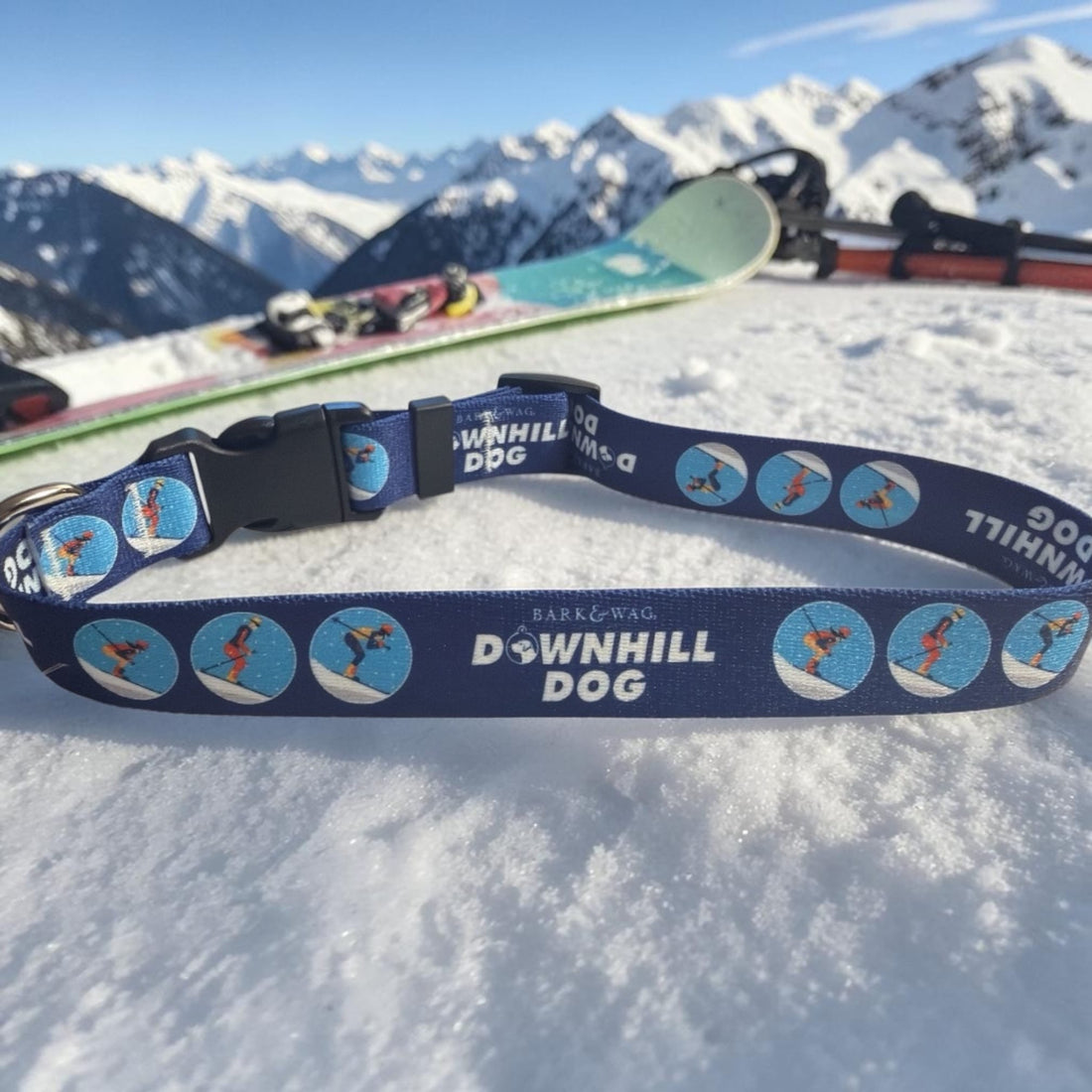 Skier Downhill Dog Collar