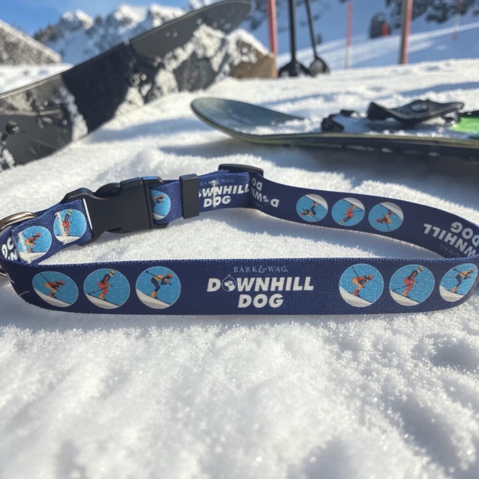 Skier Downhill Dog Collar