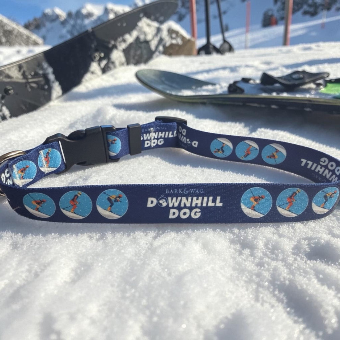 Skier Downhill Dog Collar