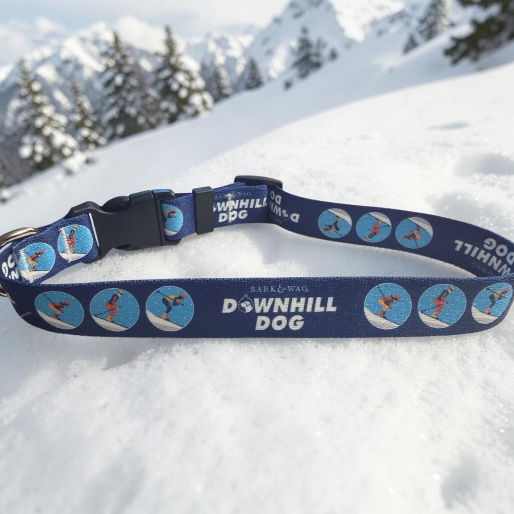 Skier Downhill Dog Collar