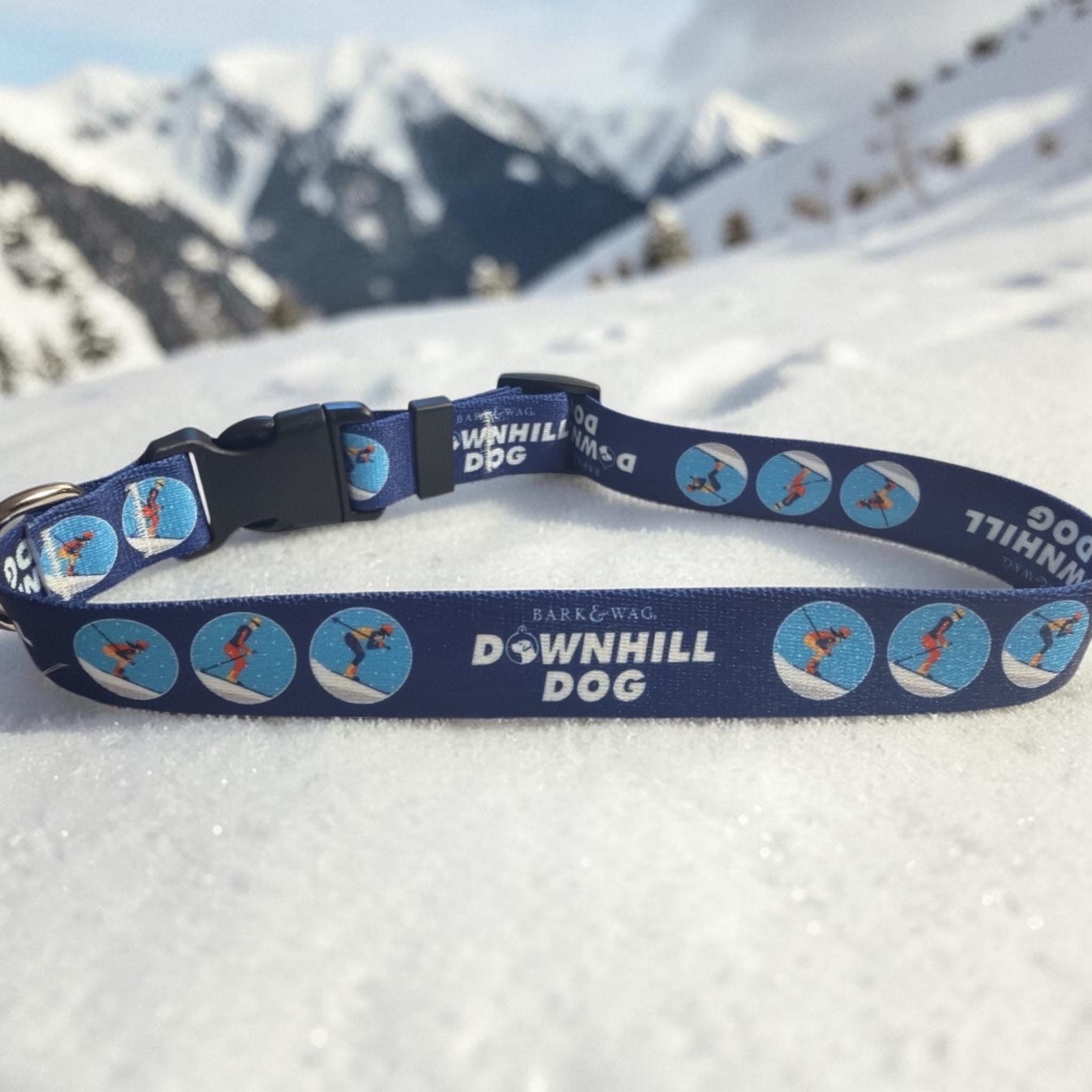 Skier Downhill Dog Collar