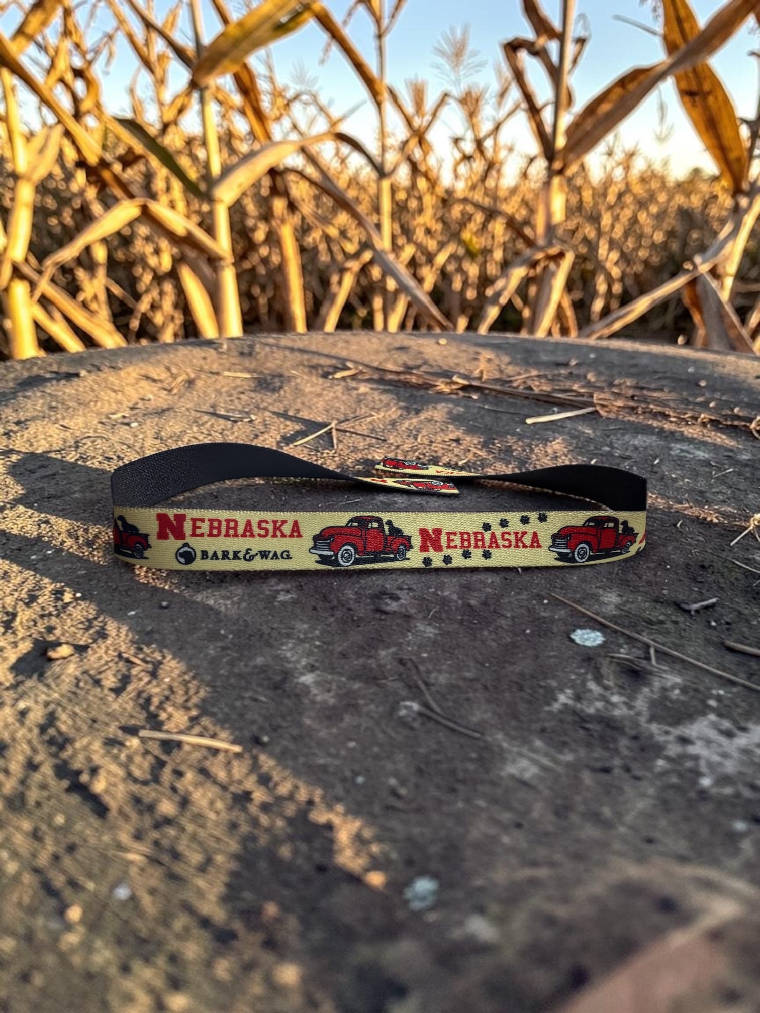 Nebraska Red Dog Truck Leash