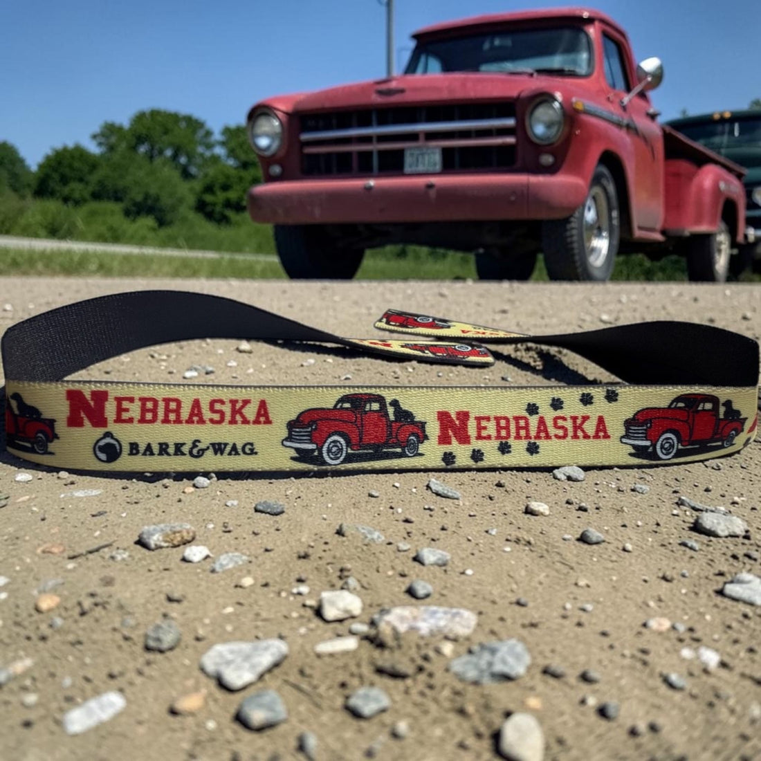 Nebraska Red Dog Truck Leash
