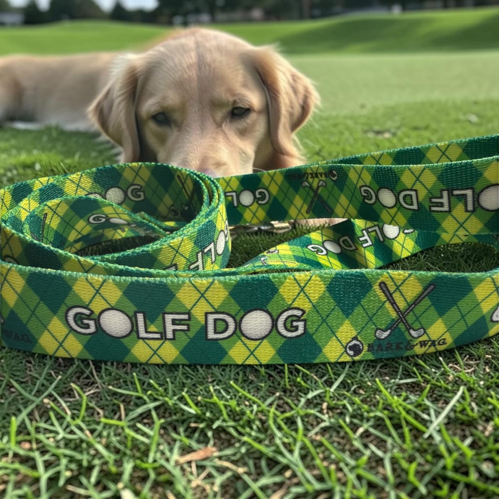 Golf Dog Leash