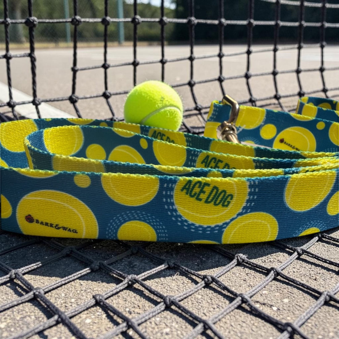 Ace Dog Blue Tennis Leash