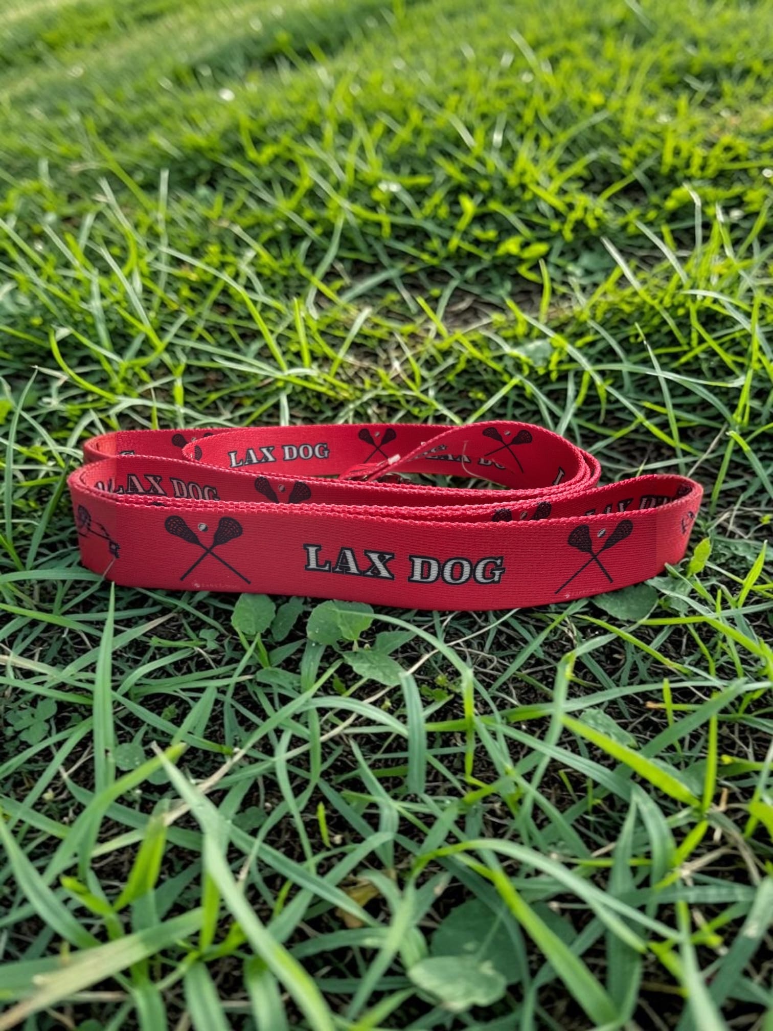 Lacrosse LAX Dog Pink Collar