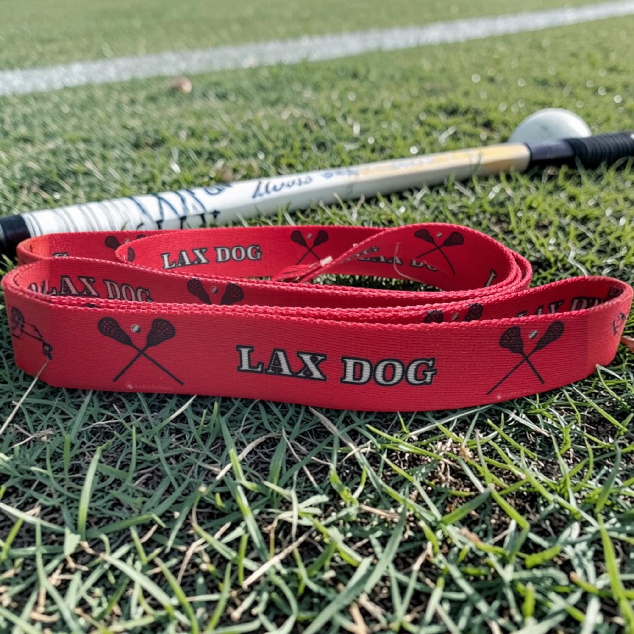 Lacrosse LAX Dog Pink Collar