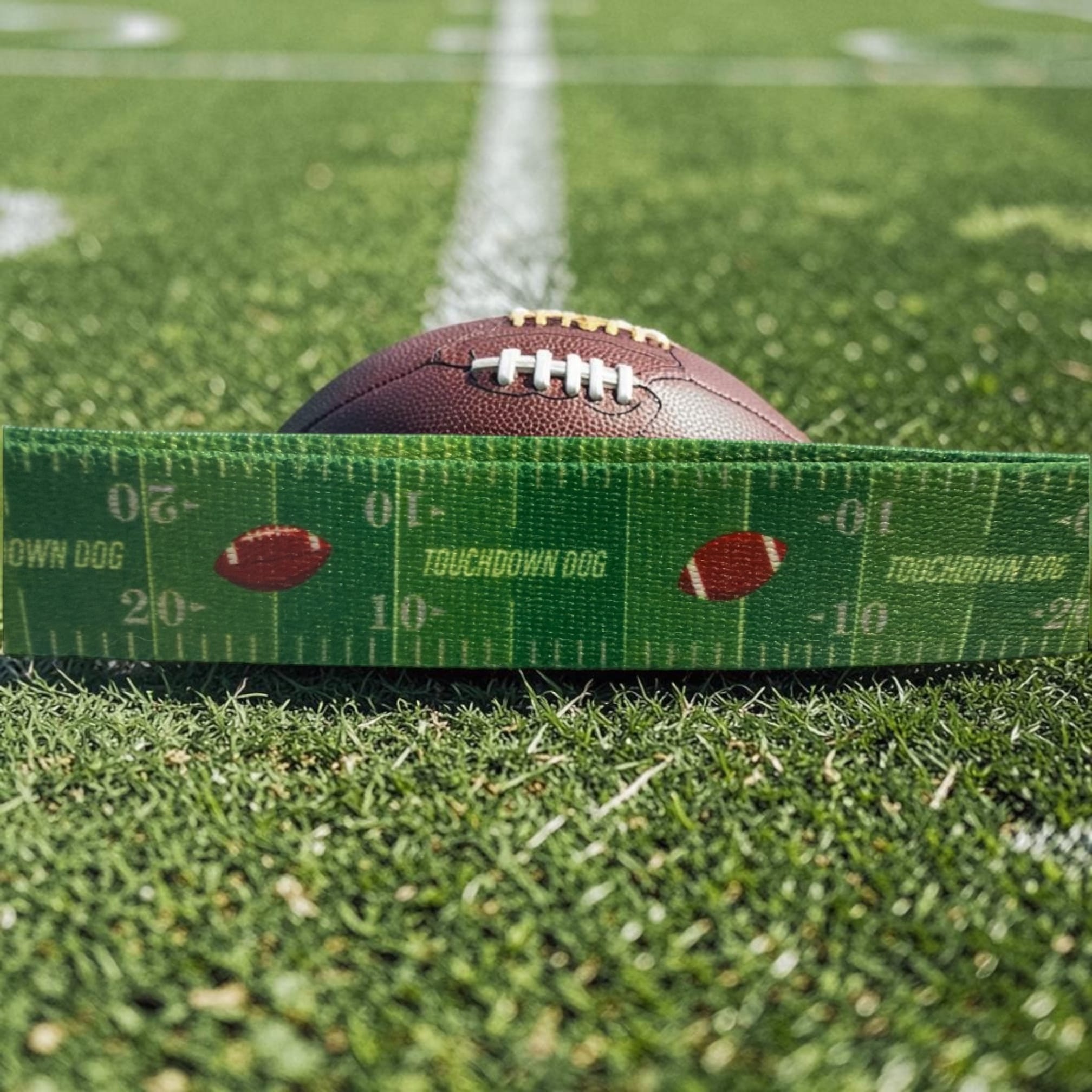 Touchdown Dog Football Leash