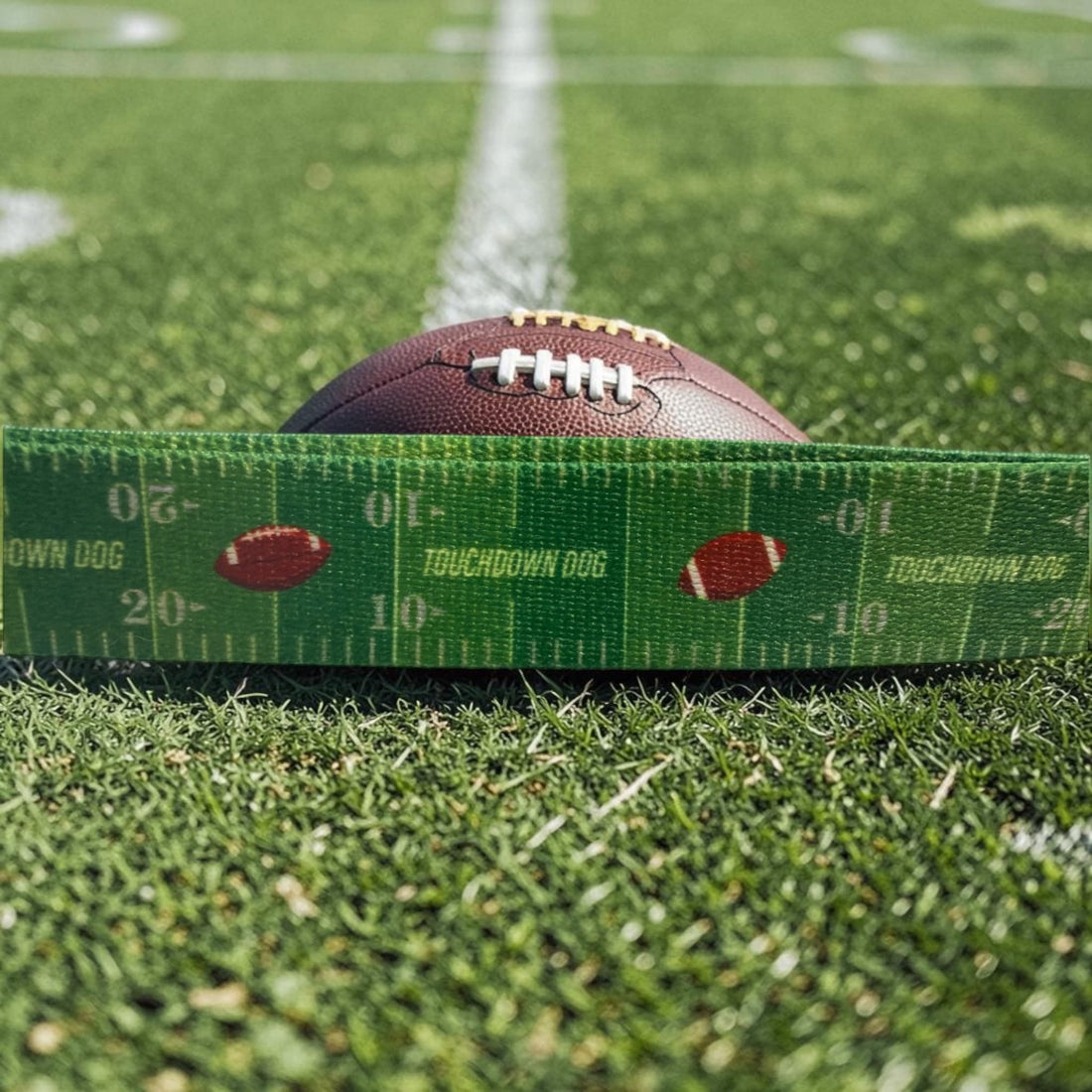 Touchdown Dog Football Leash