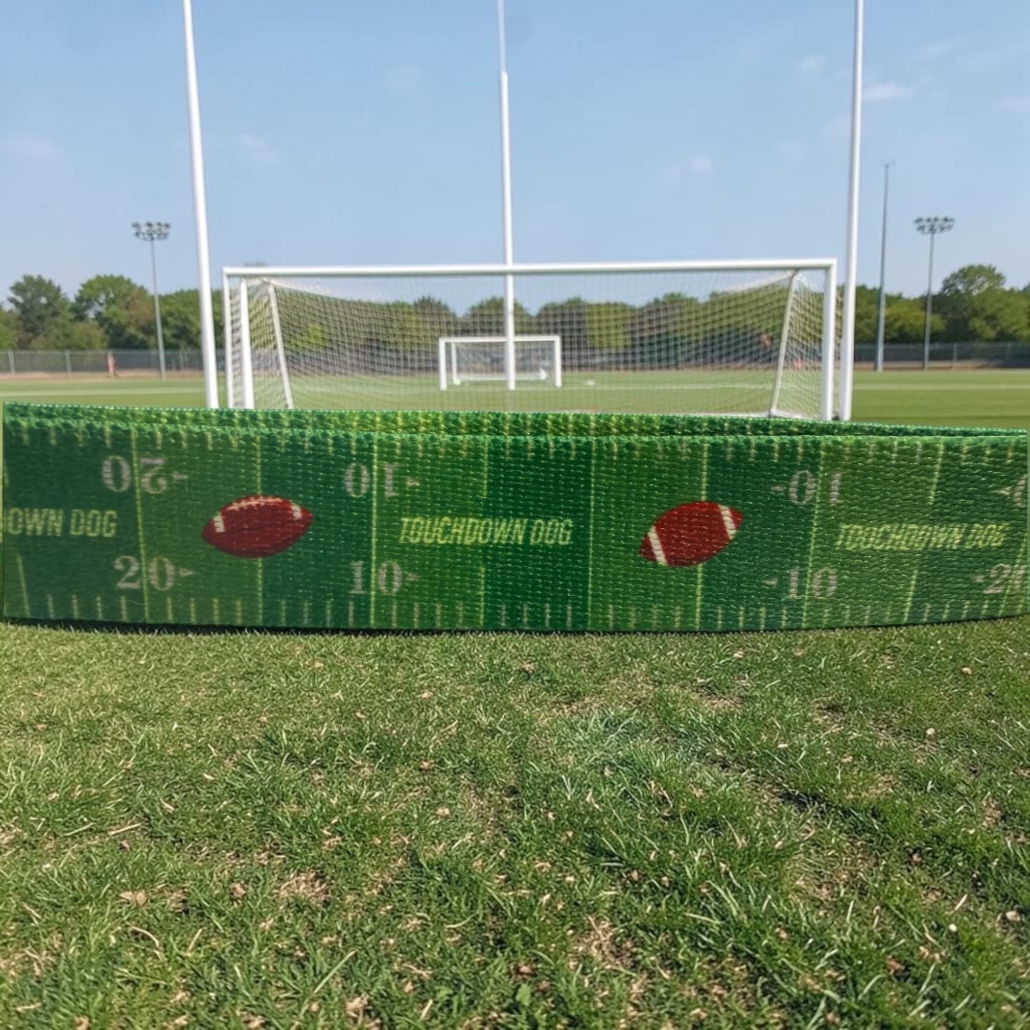Touchdown Dog Football Leash