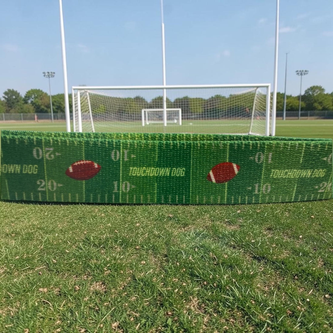 Touchdown Dog Football Leash