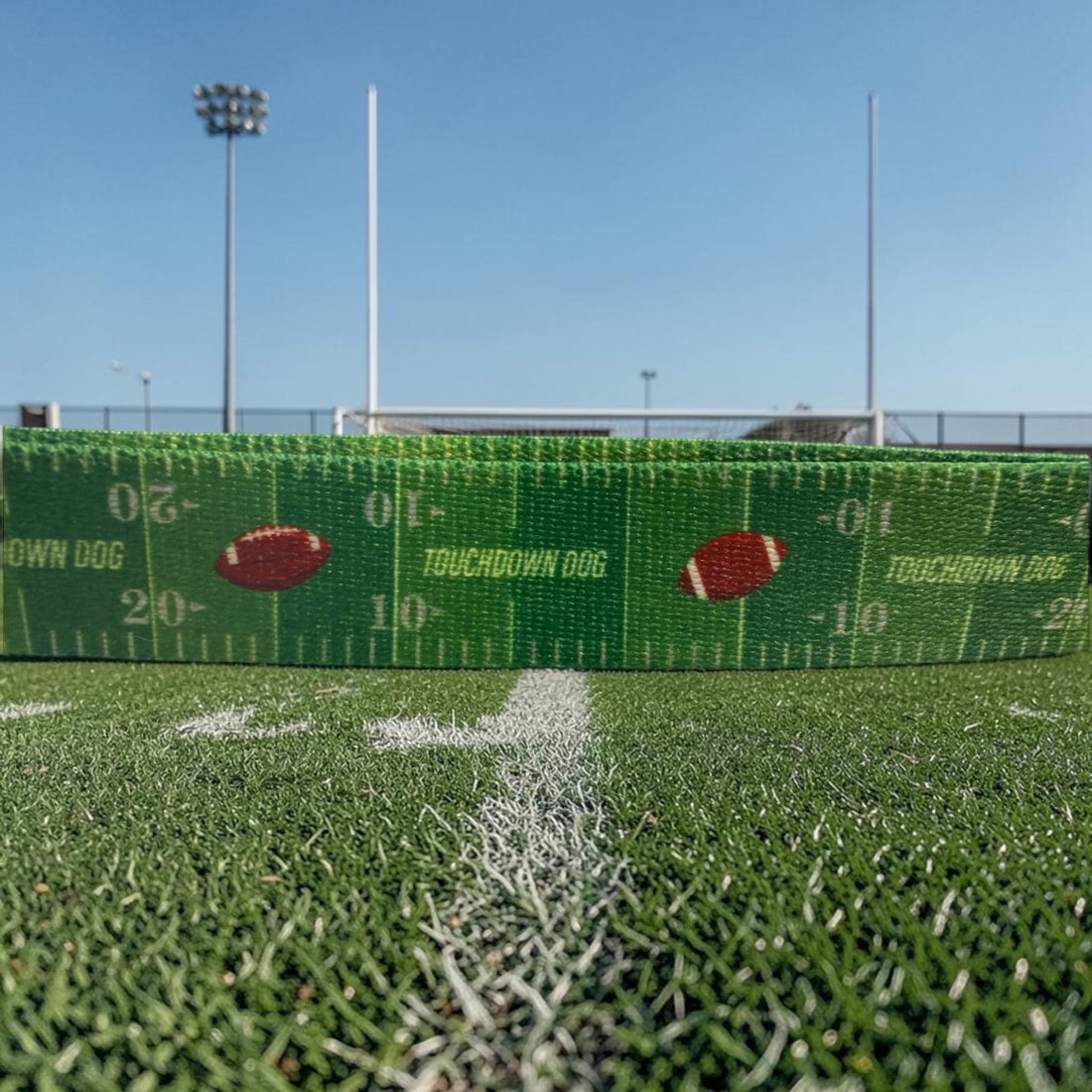 Touchdown Dog Football Leash