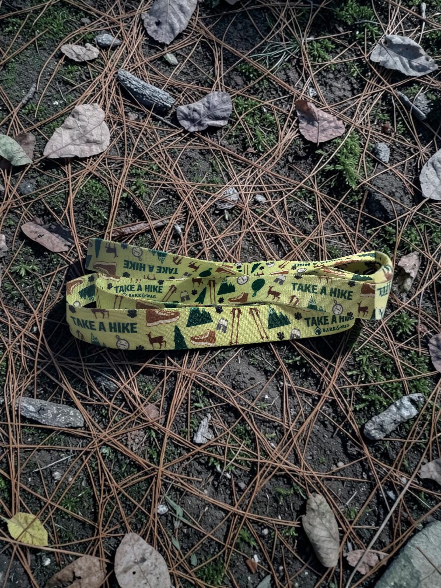 Take a Hike Dog Leash