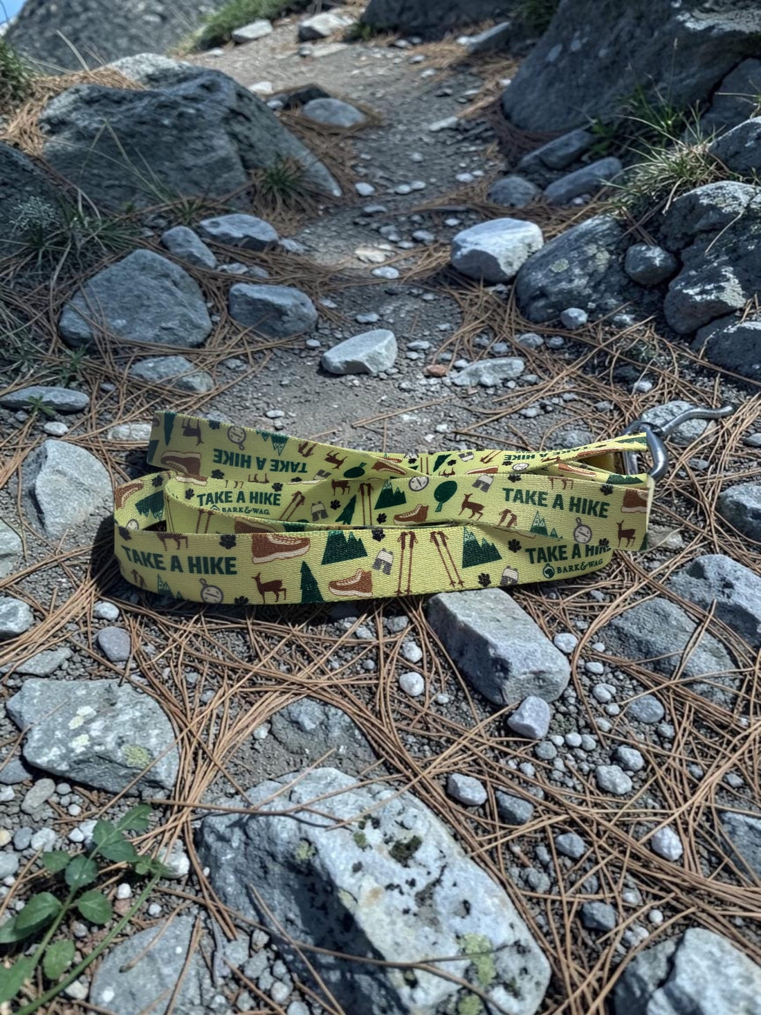 Take a Hike Dog Leash