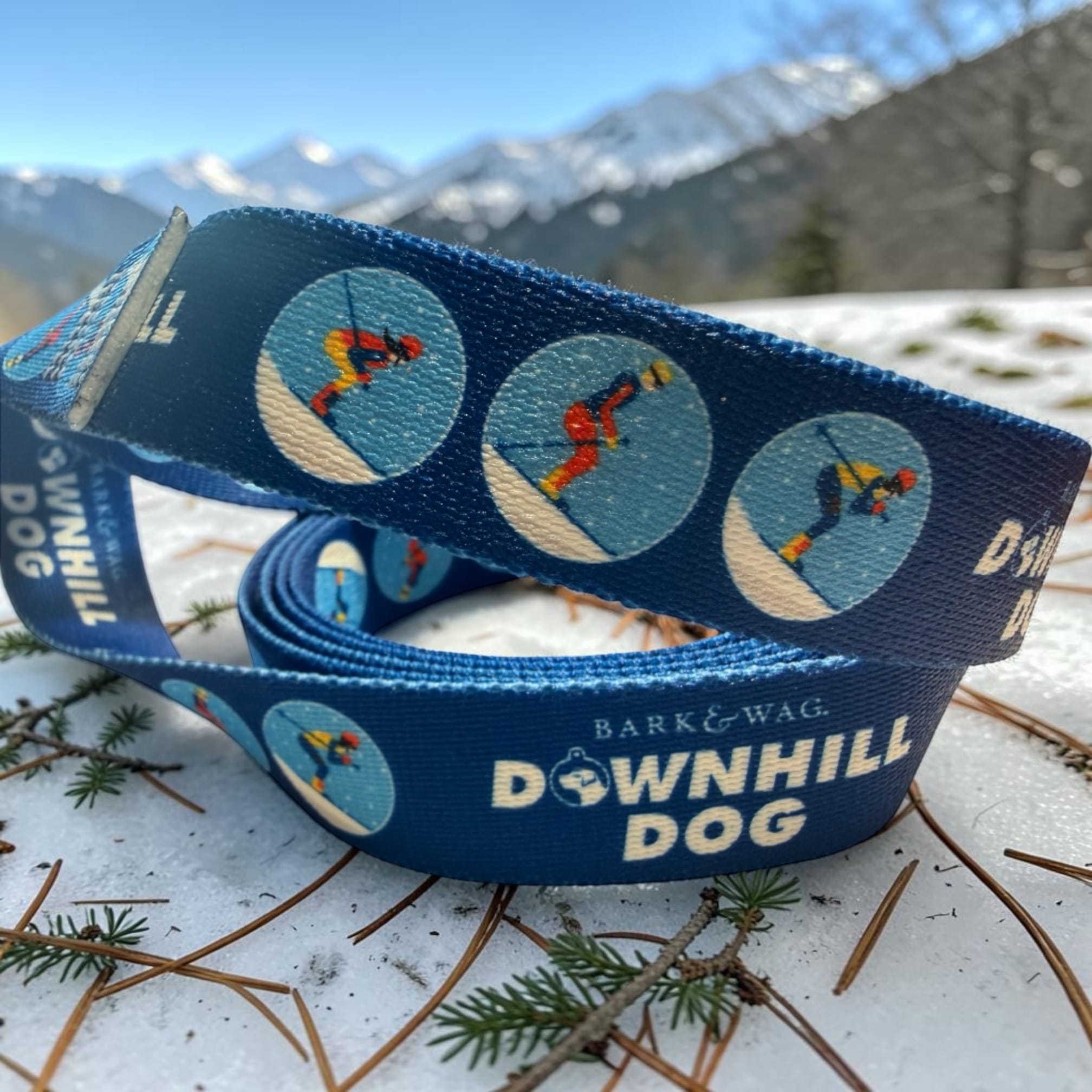 Skier Downhill Dog Leash