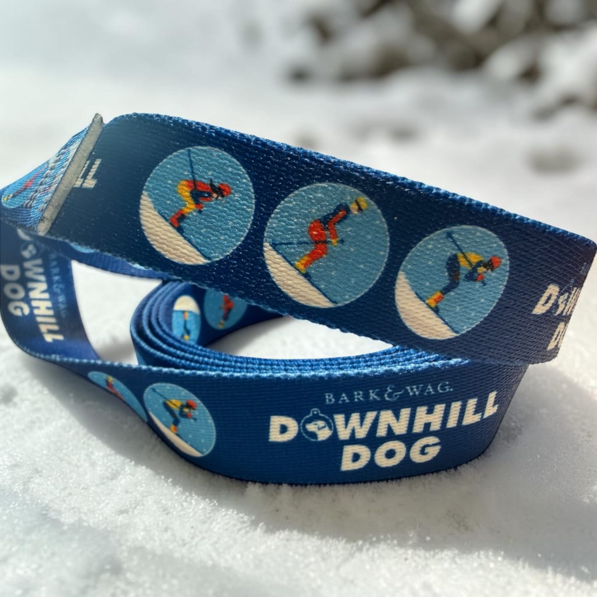 Skier Downhill Dog Leash