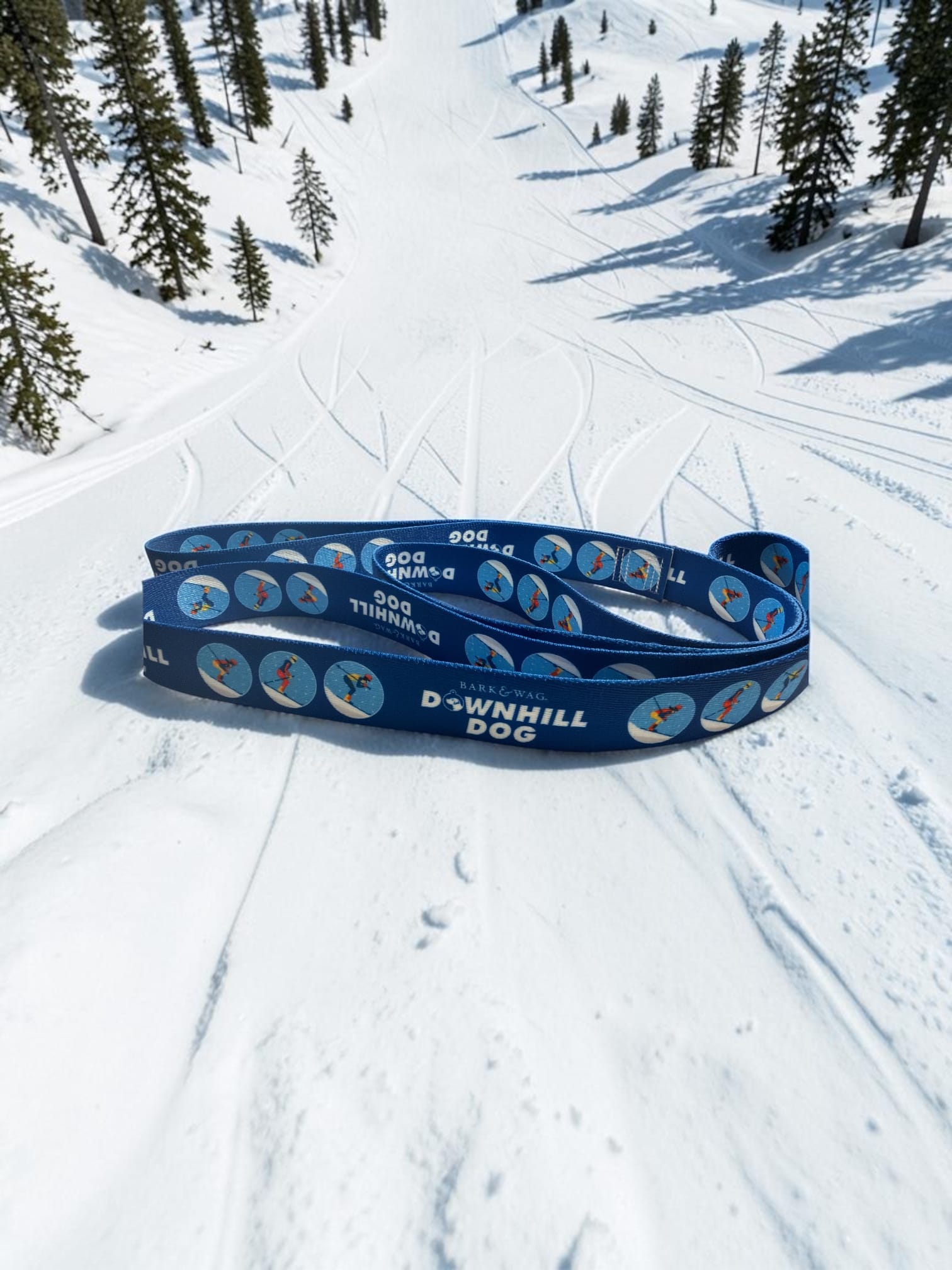 Skier Downhill Dog Leash