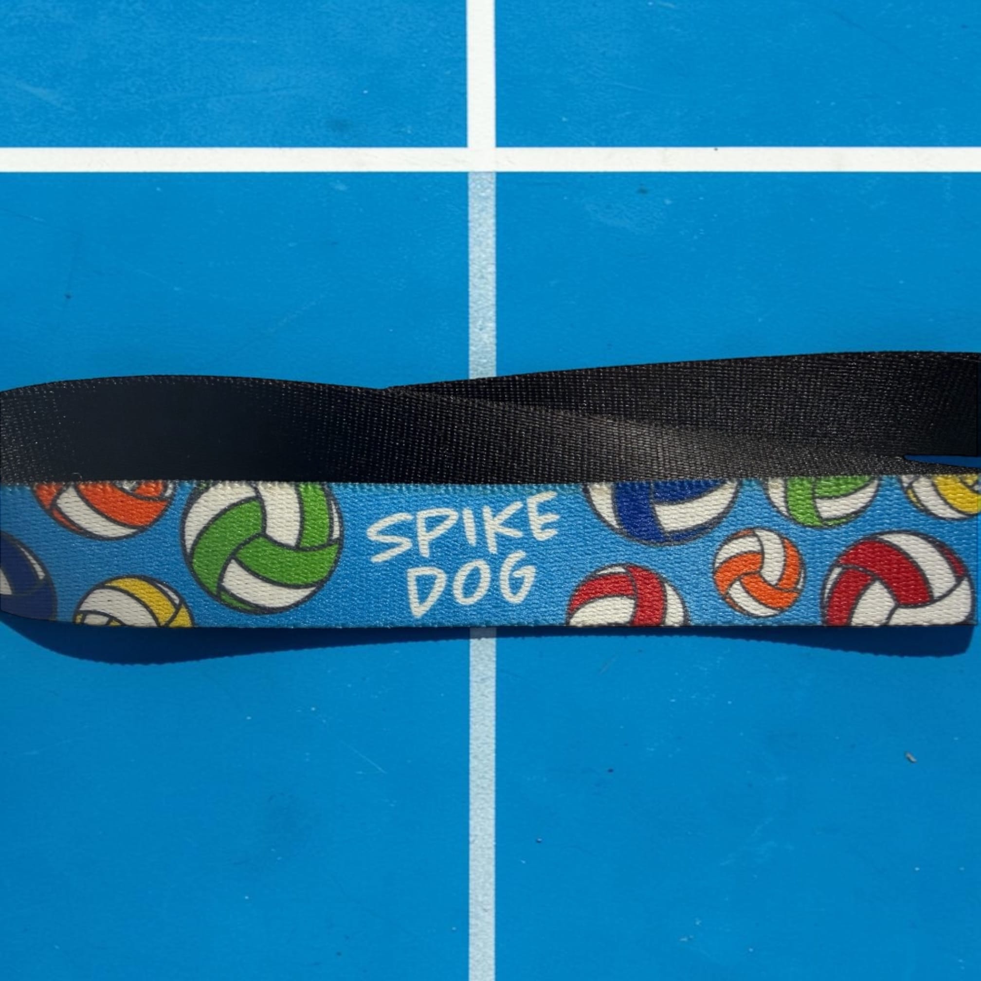 Spike Dog Volleyball Leash