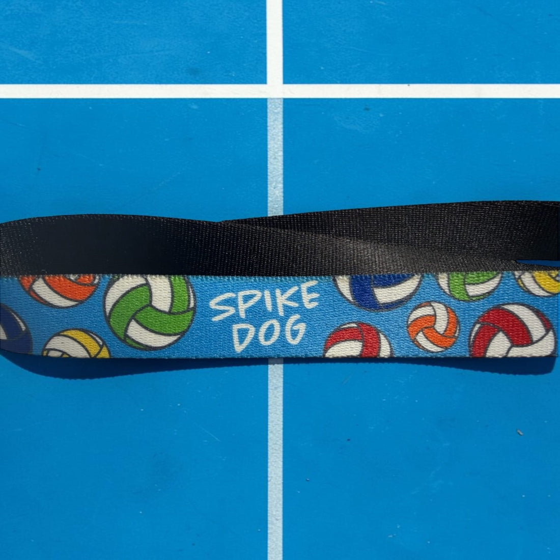 Spike Dog Volleyball Leash