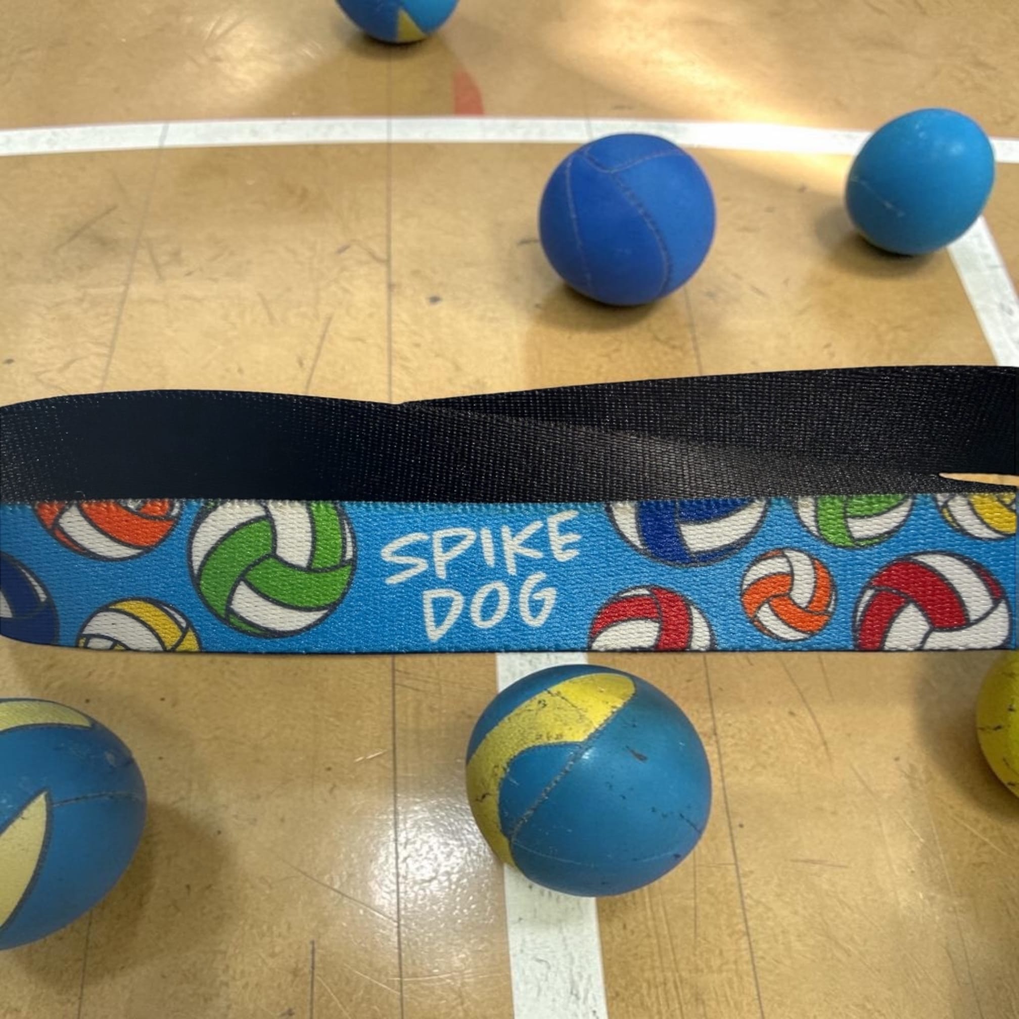Spike Dog Volleyball Leash