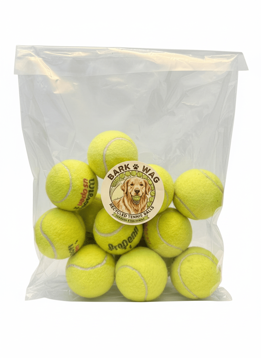 The Second Serve – Upcycled Tennis Balls (10-Pack)
