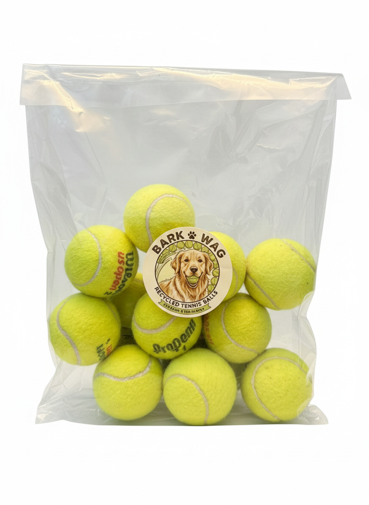 The Second Serve – Upcycled Tennis Balls (10-Pack)