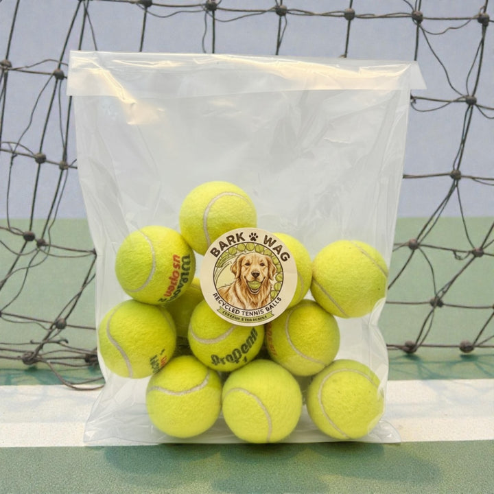 The Second Serve – Upcycled Tennis Balls (10-Pack)