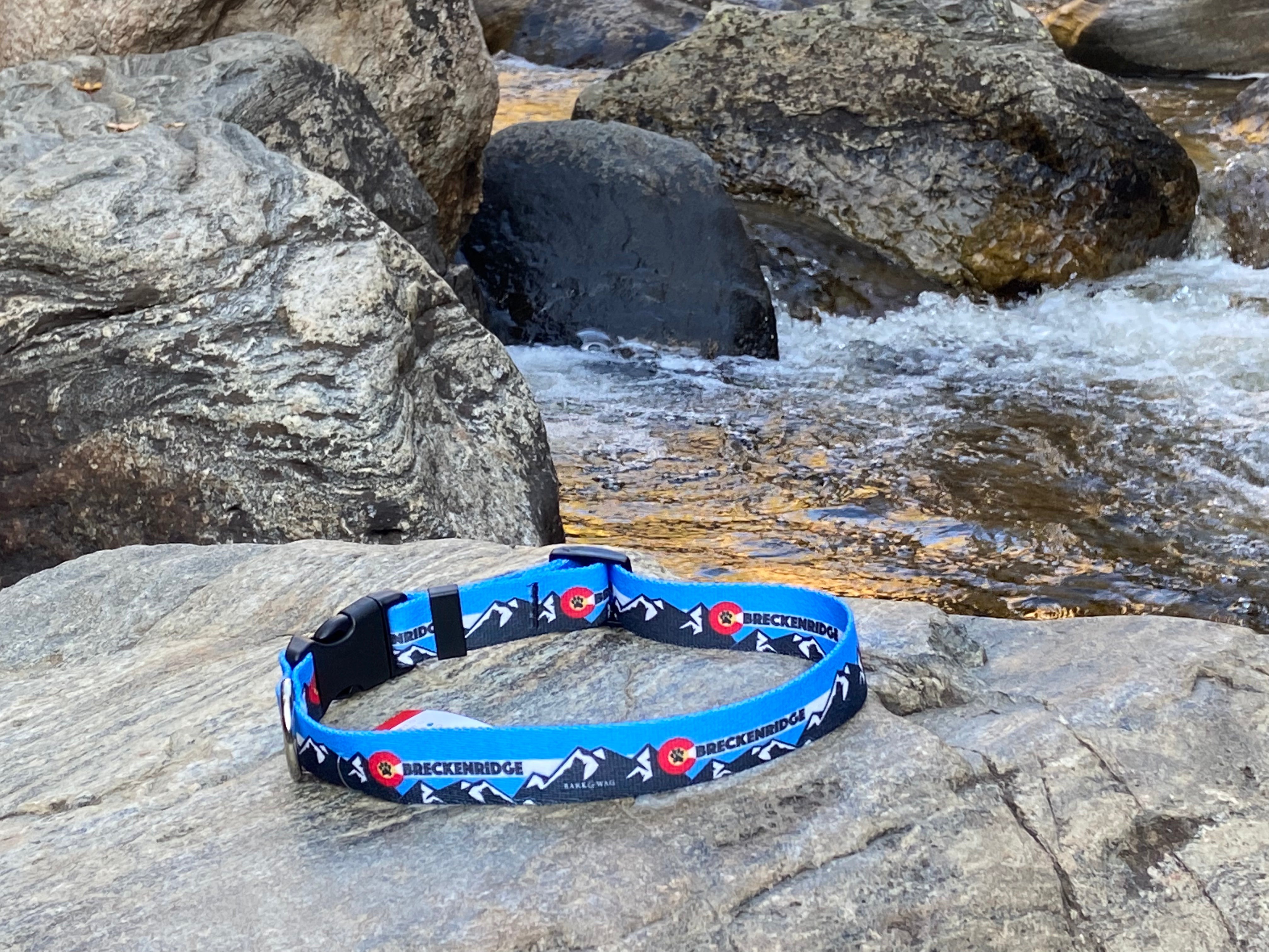 Mountain Dog Blue Collar