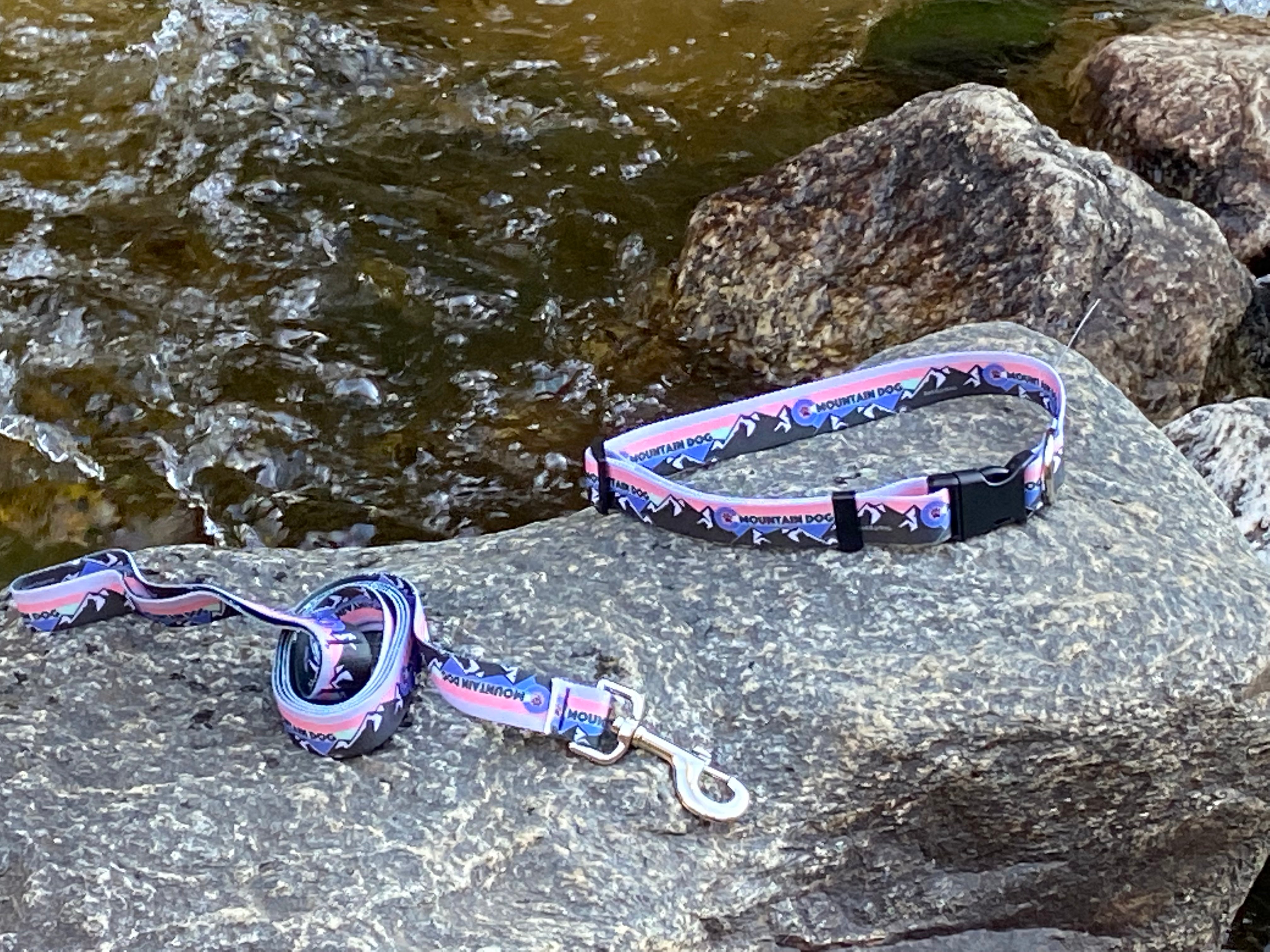 Mountain Dog Pink Collar