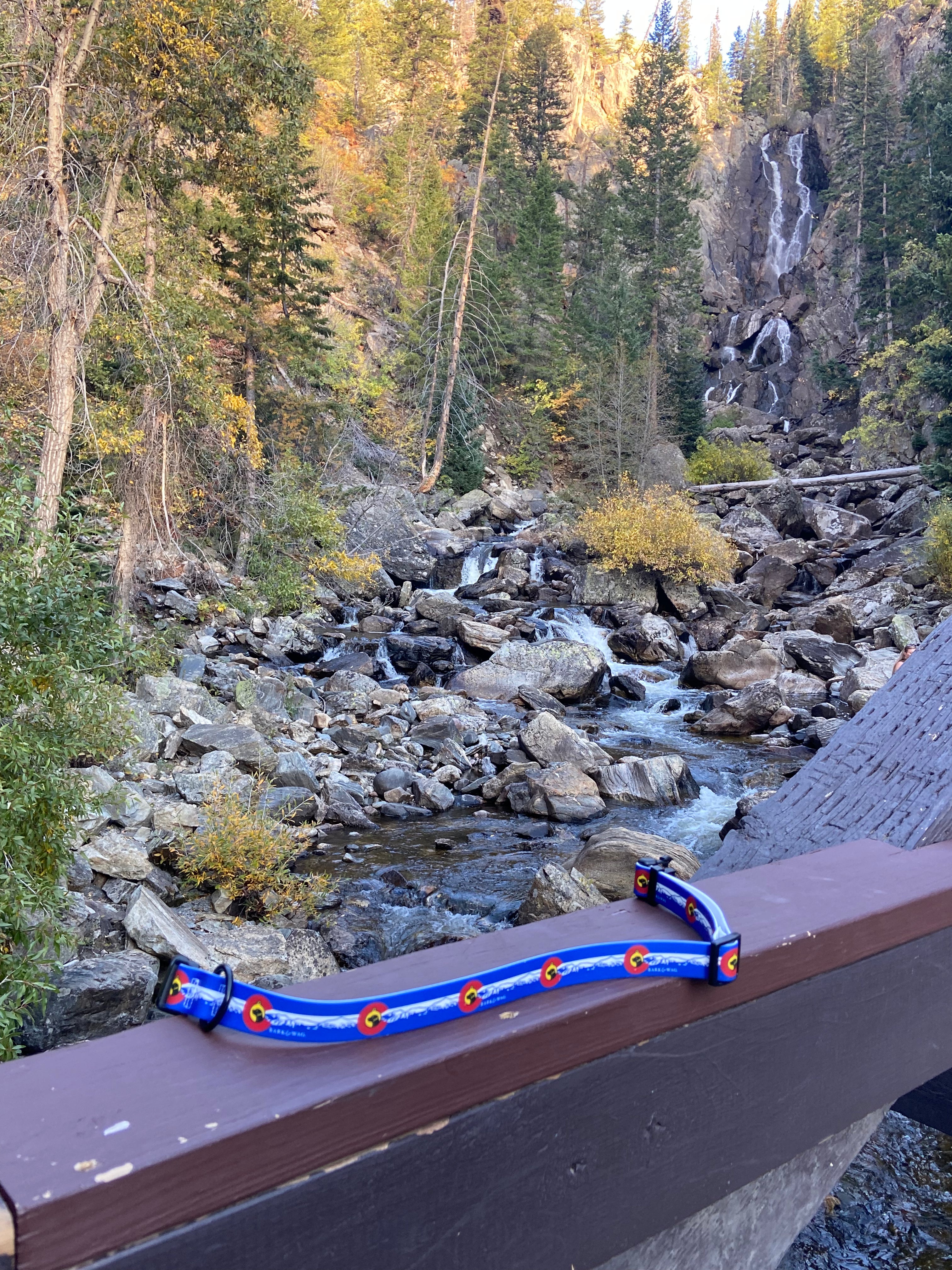 Colorado Flag Dog Collar