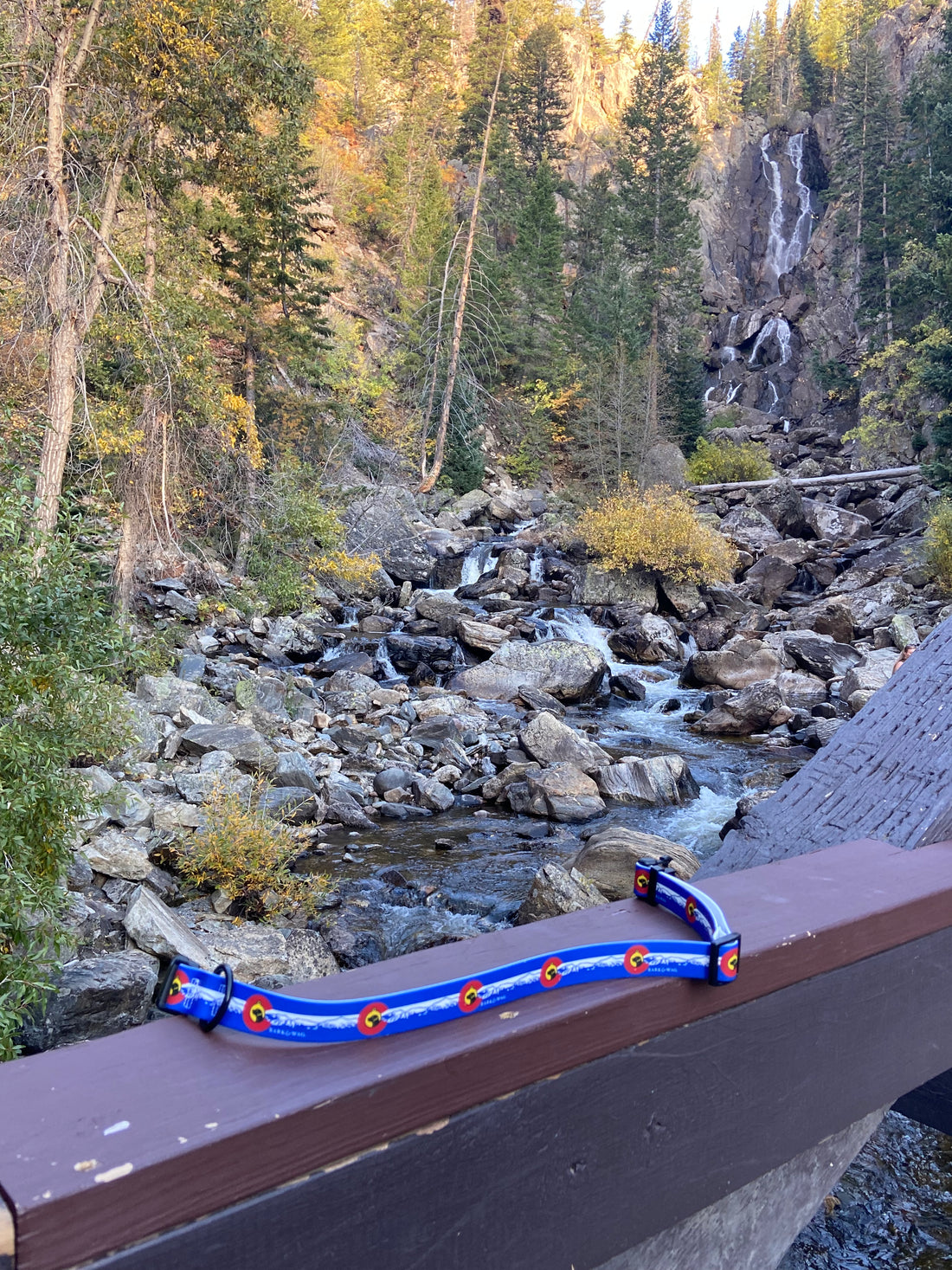 Colorado Flag Dog Collar